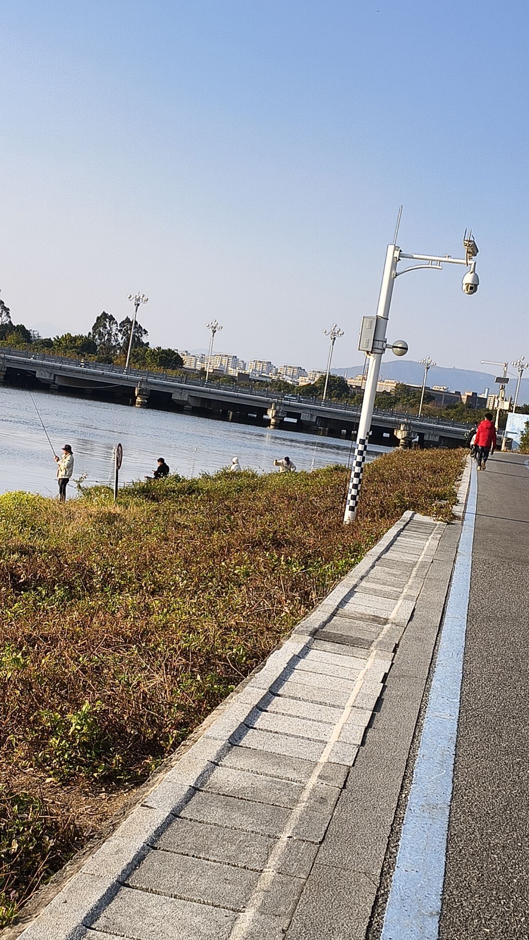 滨海新城体育公园旅行图片 3