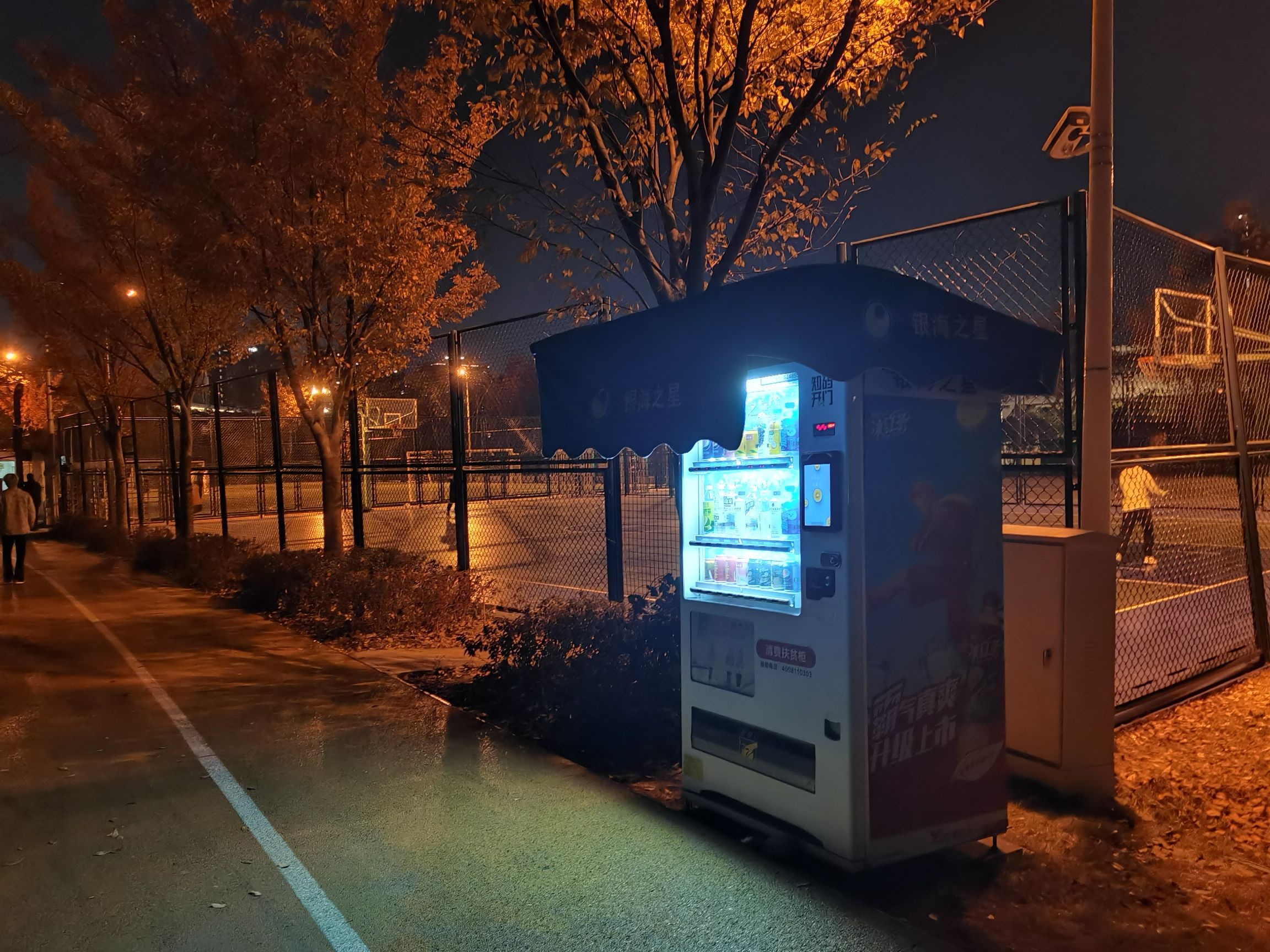 横山体育公园旅行图片 2