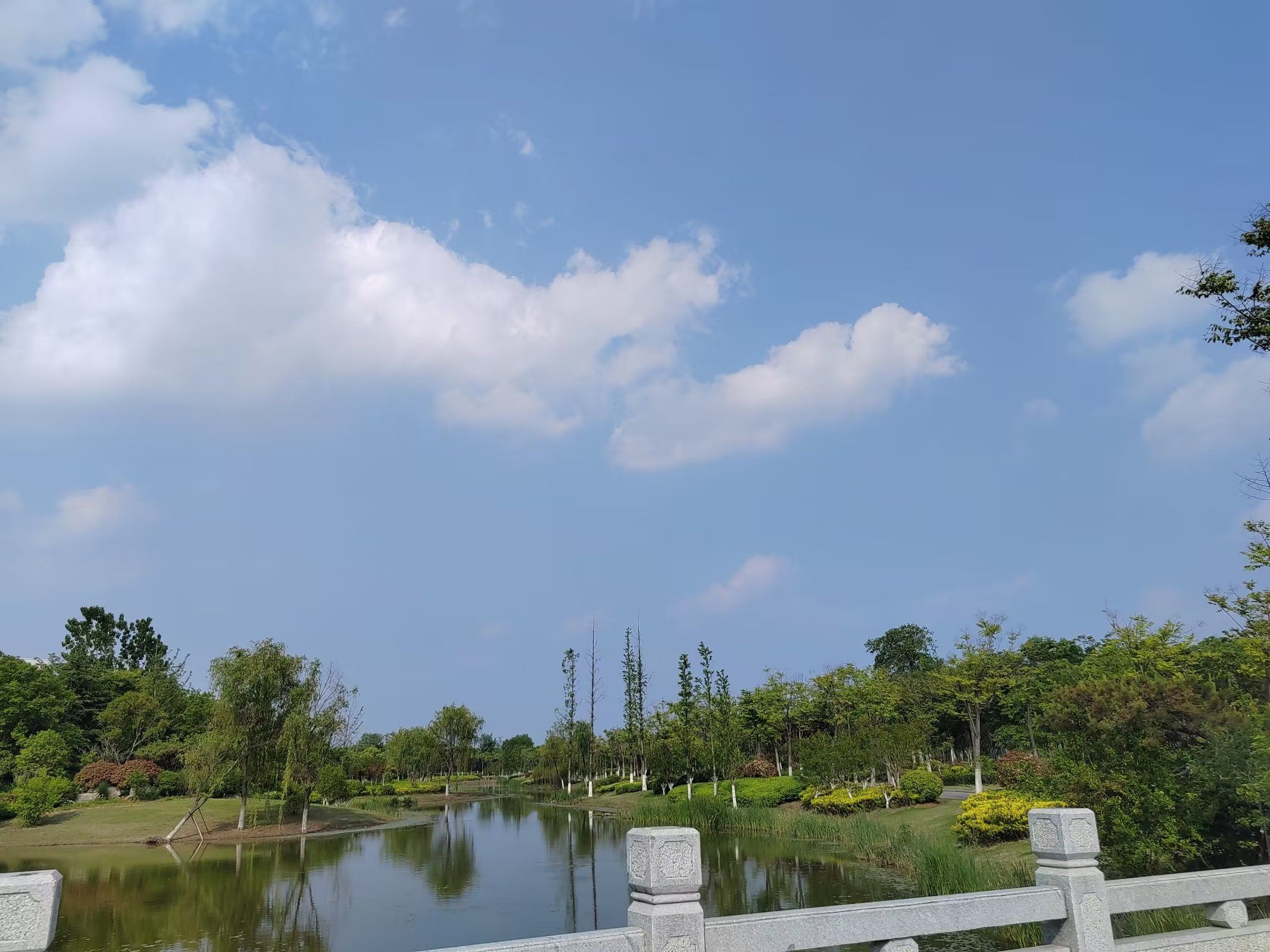 大黄山森林公园旅行图片 2