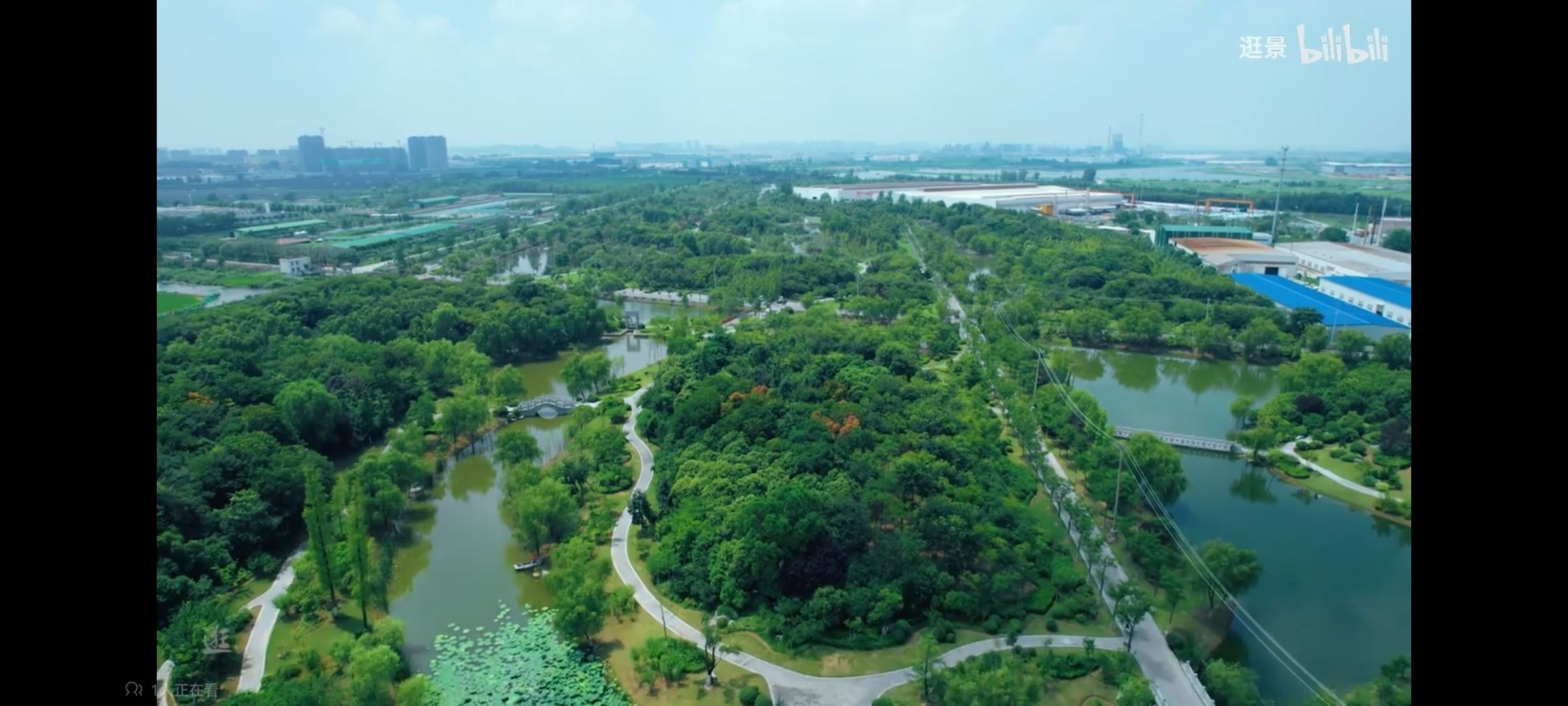 大黄山森林公园旅行图片 1