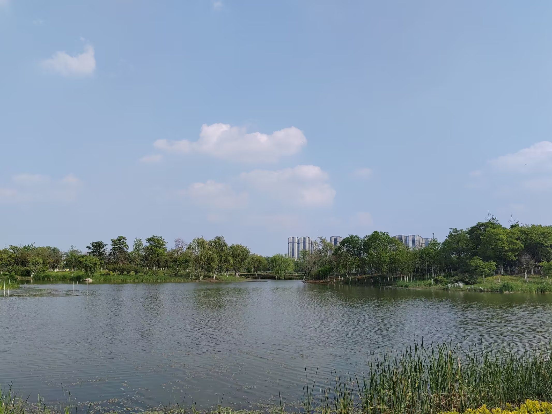 大黄山森林公园旅行图片 1