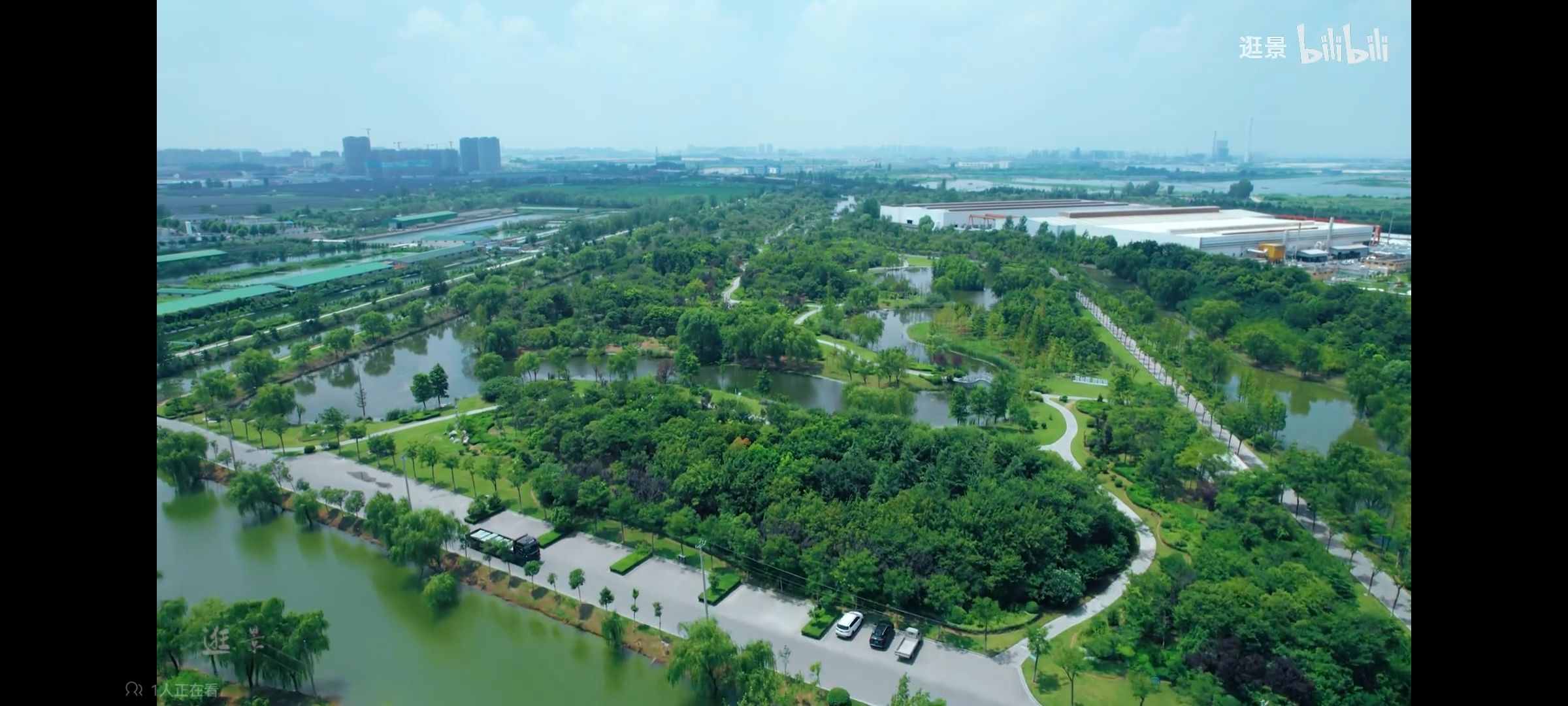 大黄山森林公园旅行图片 2