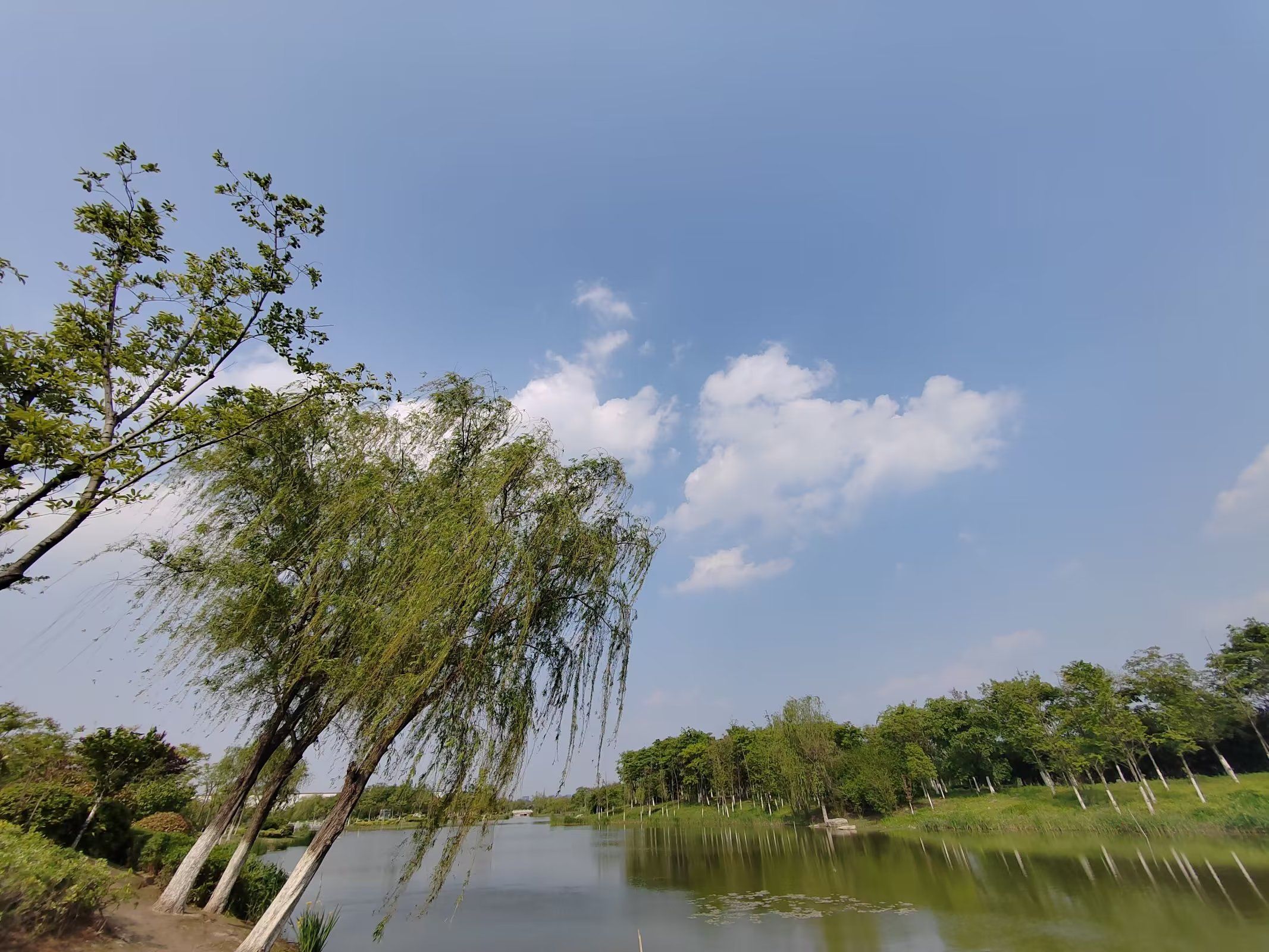 大黄山森林公园旅行图片 3