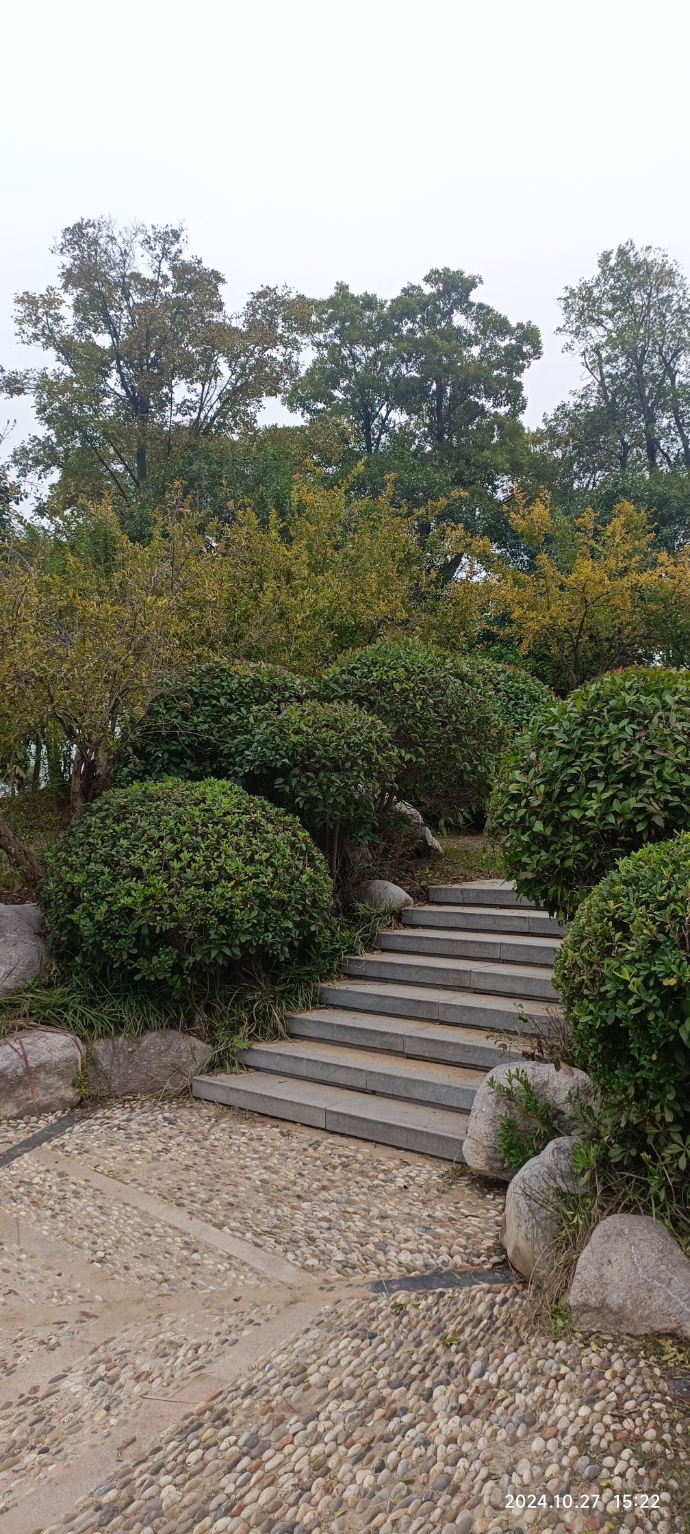 大黄山森林公园旅行图片 1
