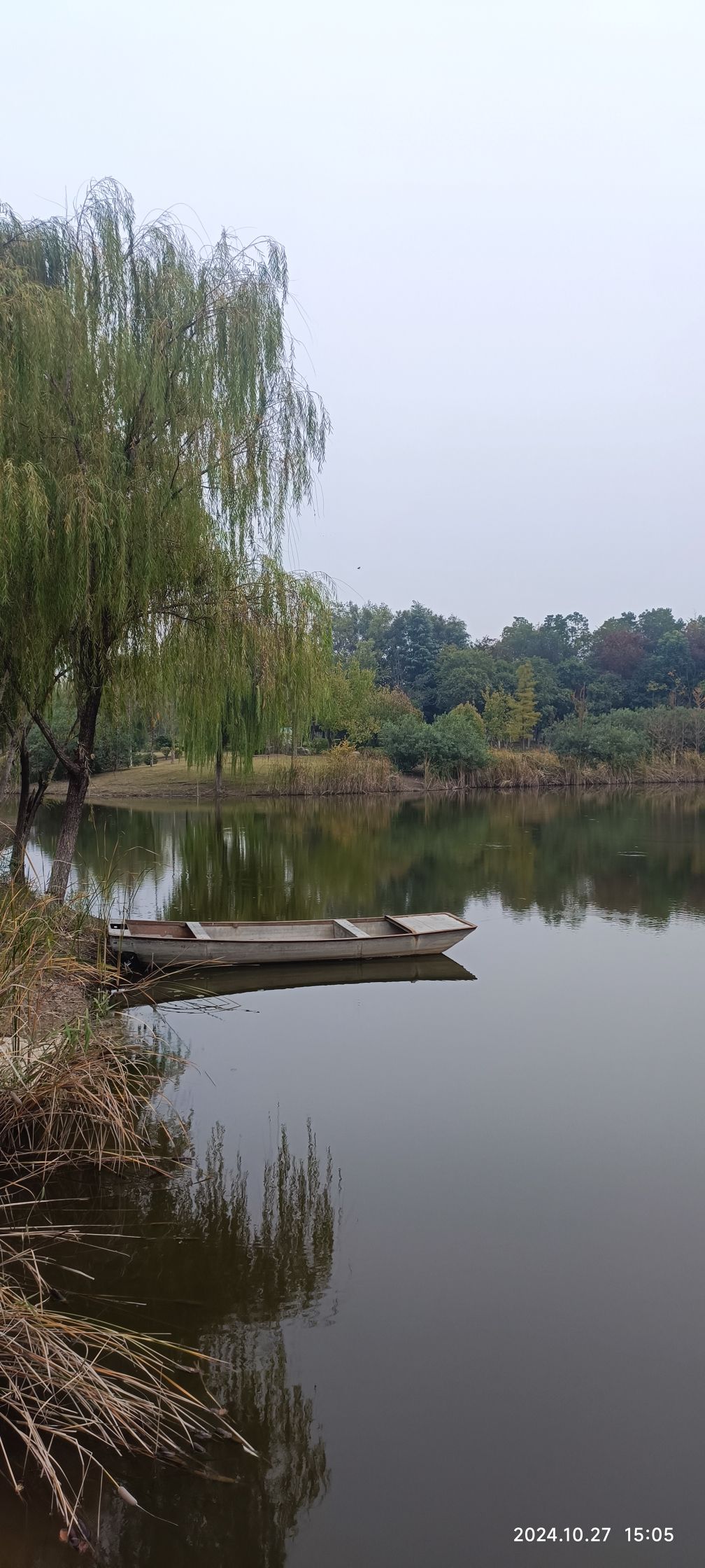 大黄山森林公园旅行图片 3