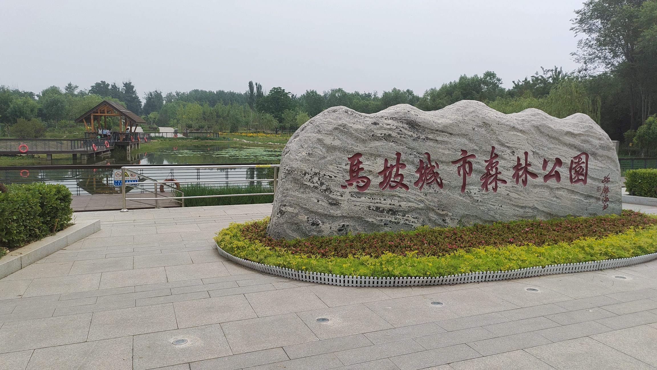 马坡城市森林公园旅行图片 1