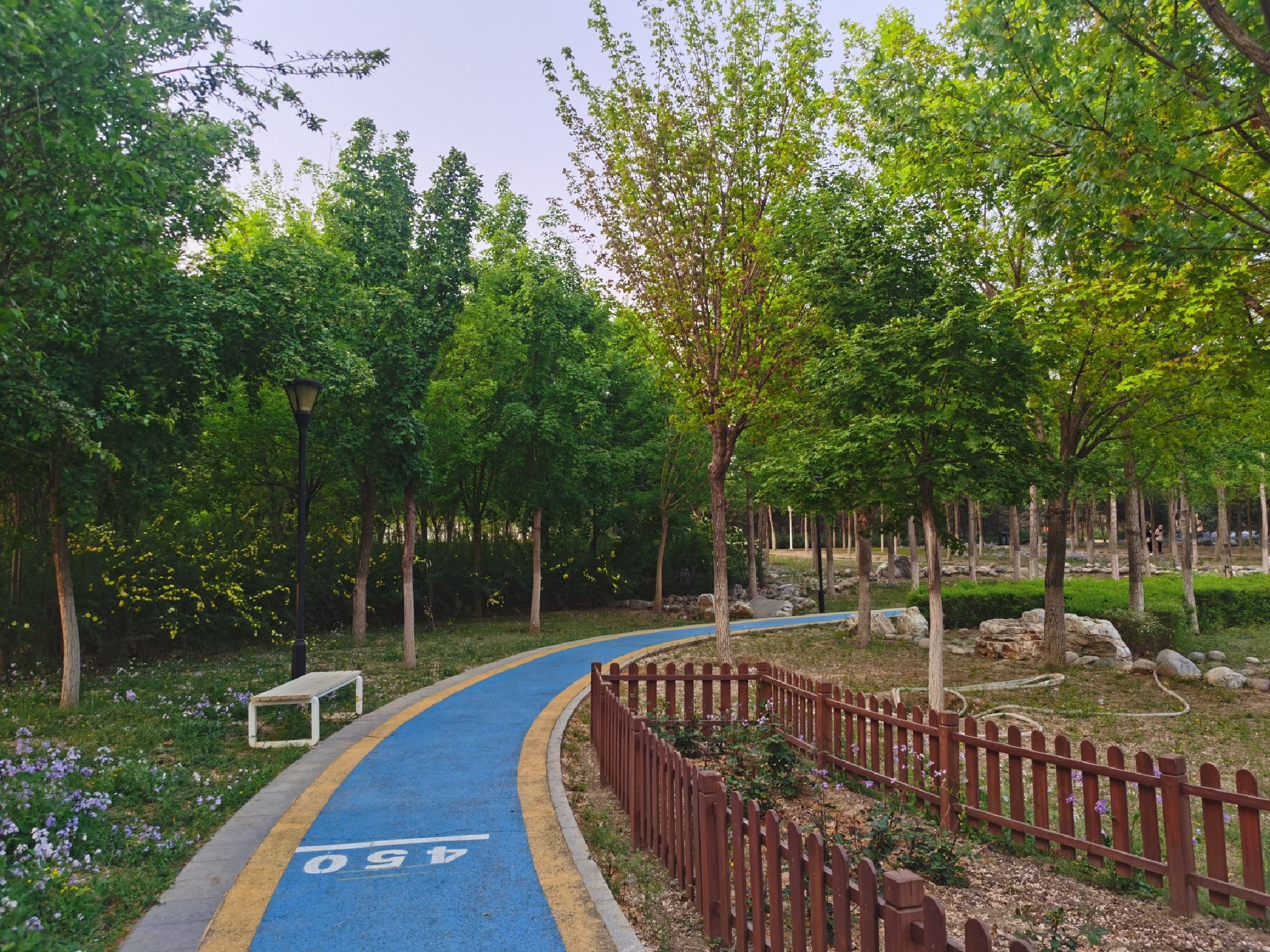 马坡城市森林公园旅行图片 1