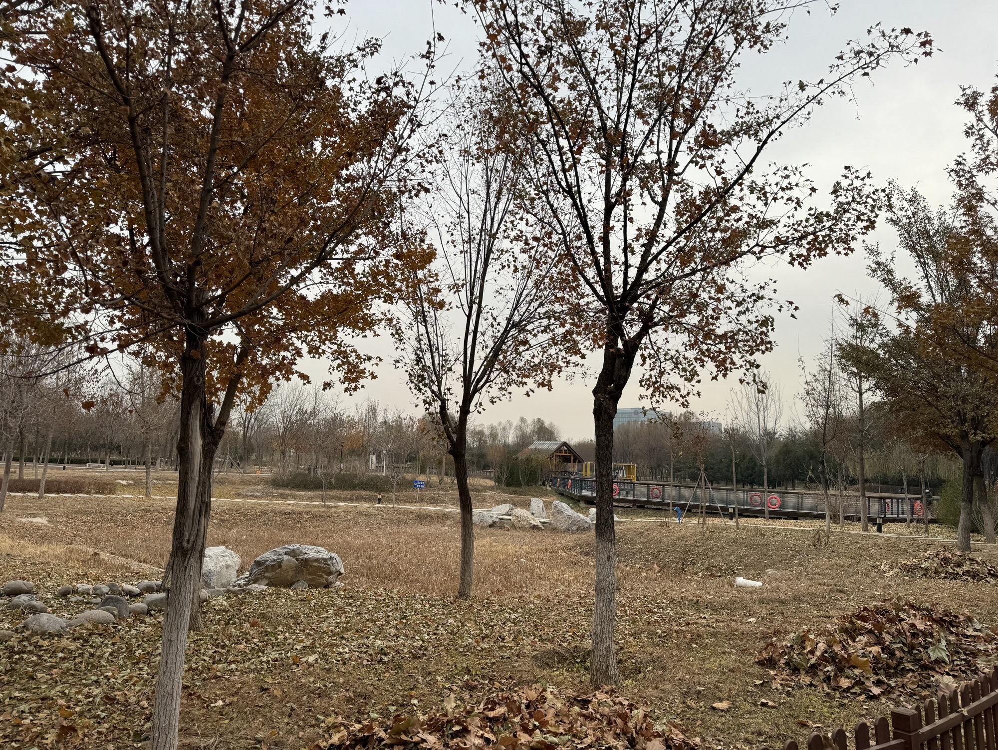 马坡城市森林公园旅行图片 3