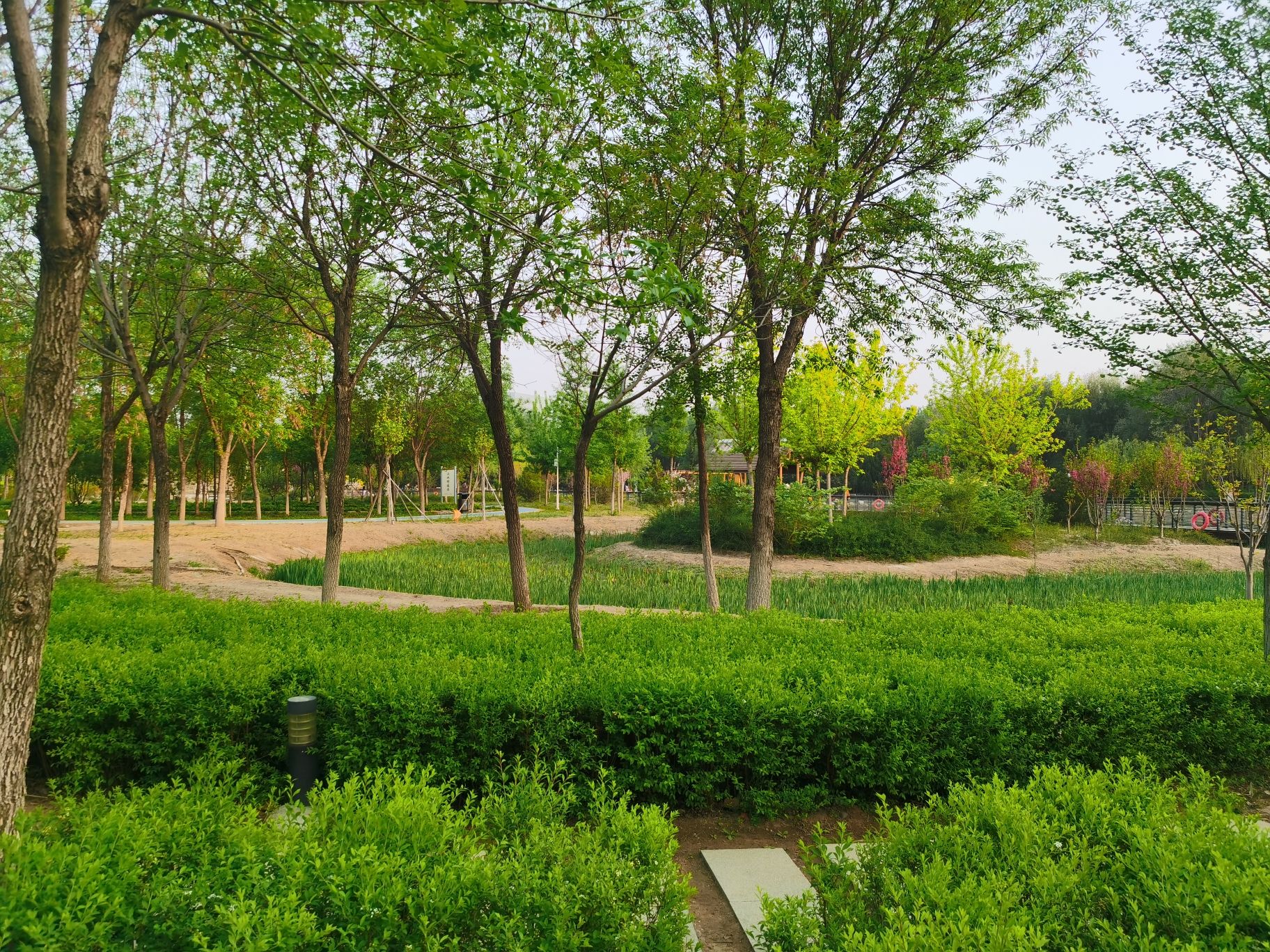 马坡城市森林公园旅行图片 2