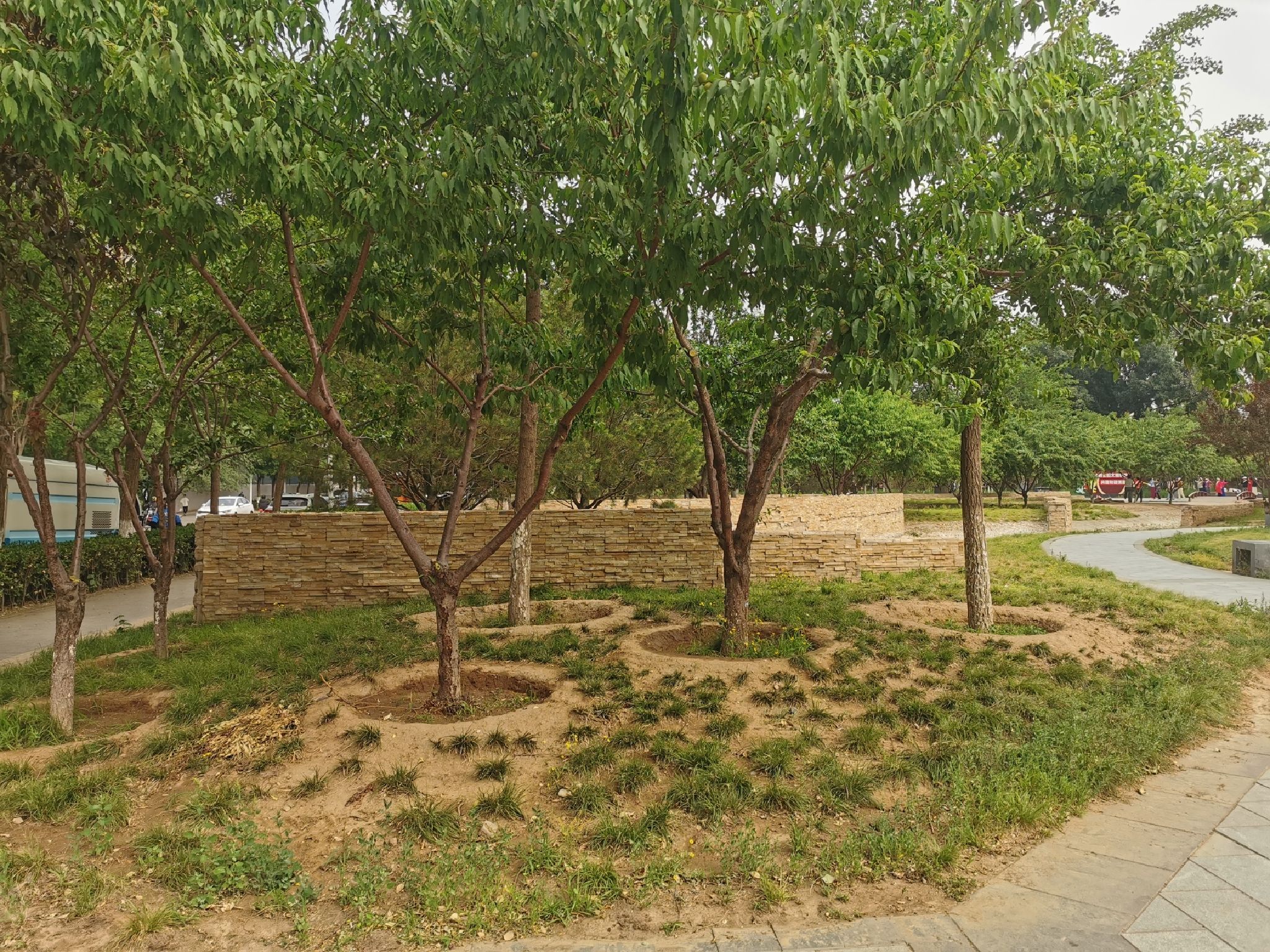 平衡车公园旅行图片 1