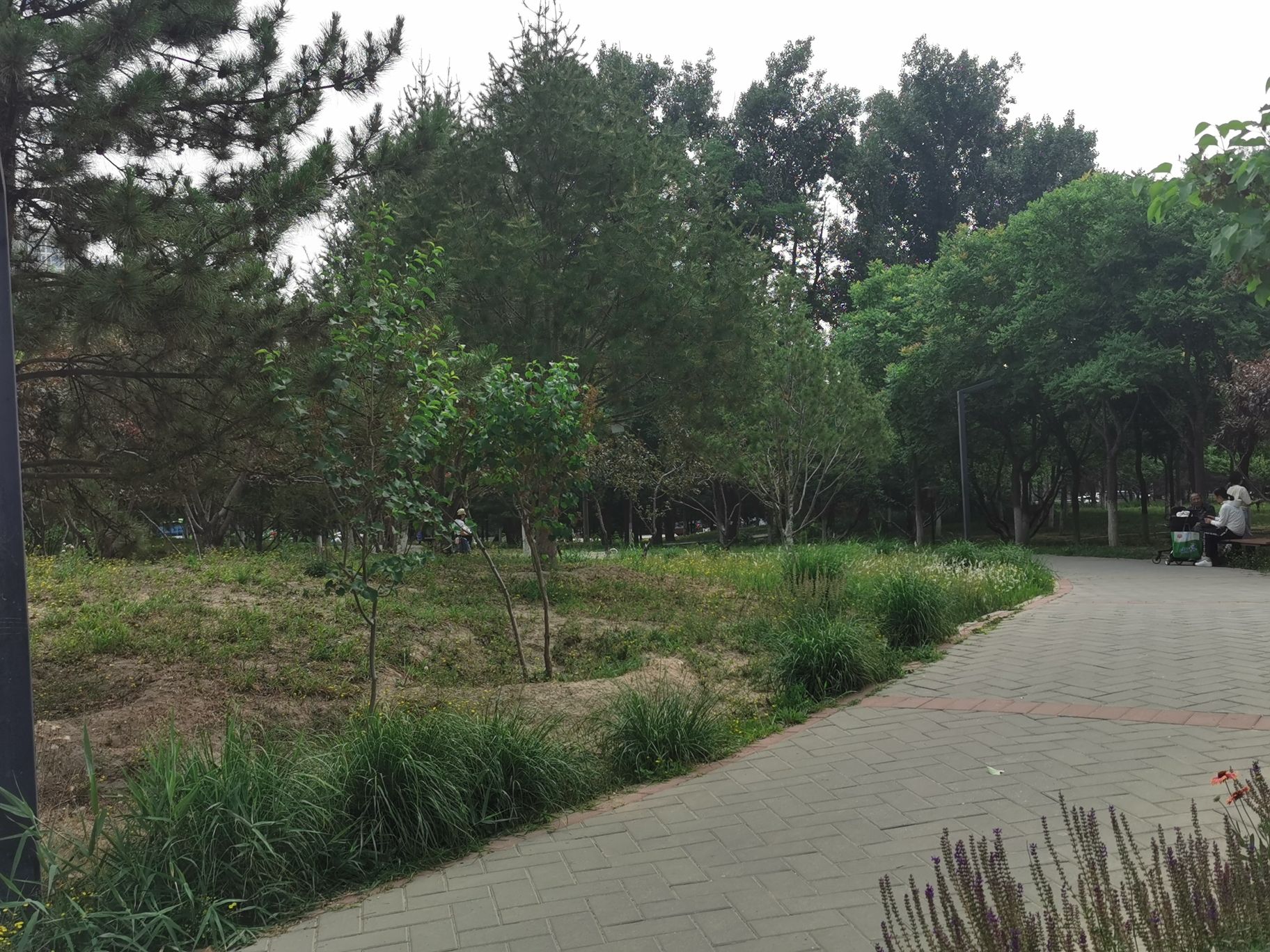 平衡车公园旅行图片 3
