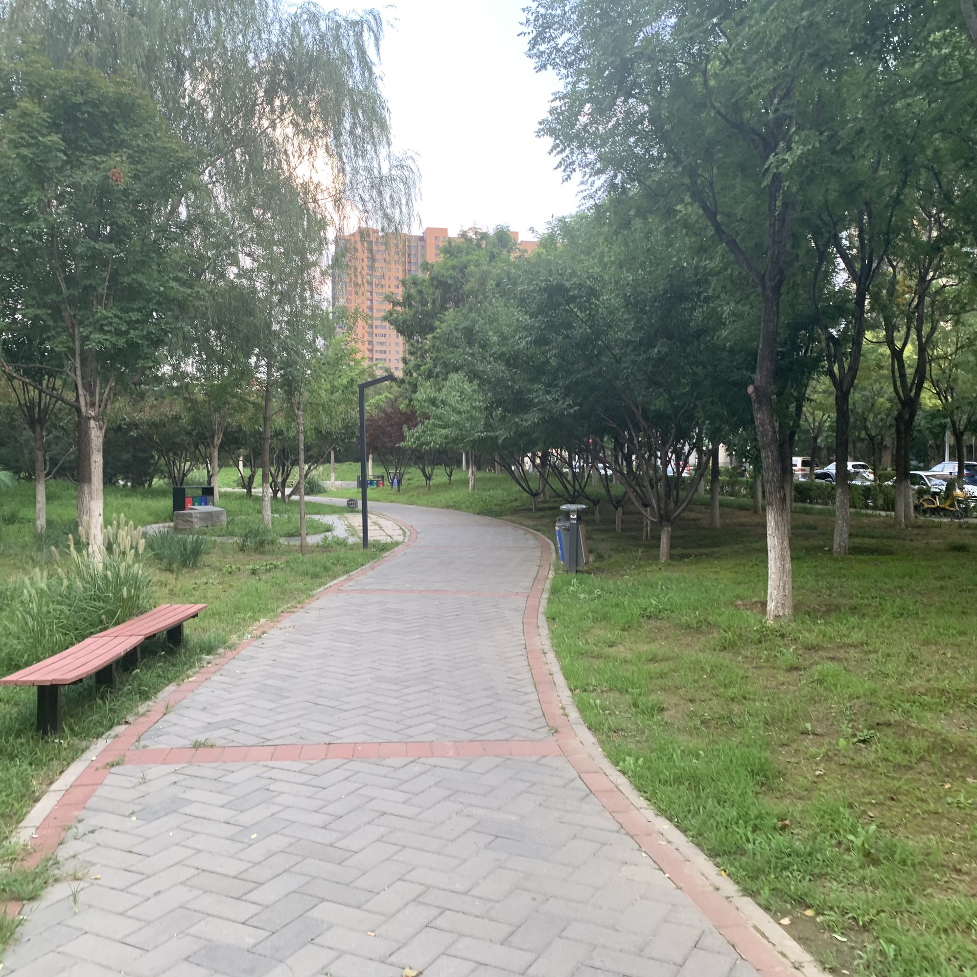 平衡车公园旅行图片 2