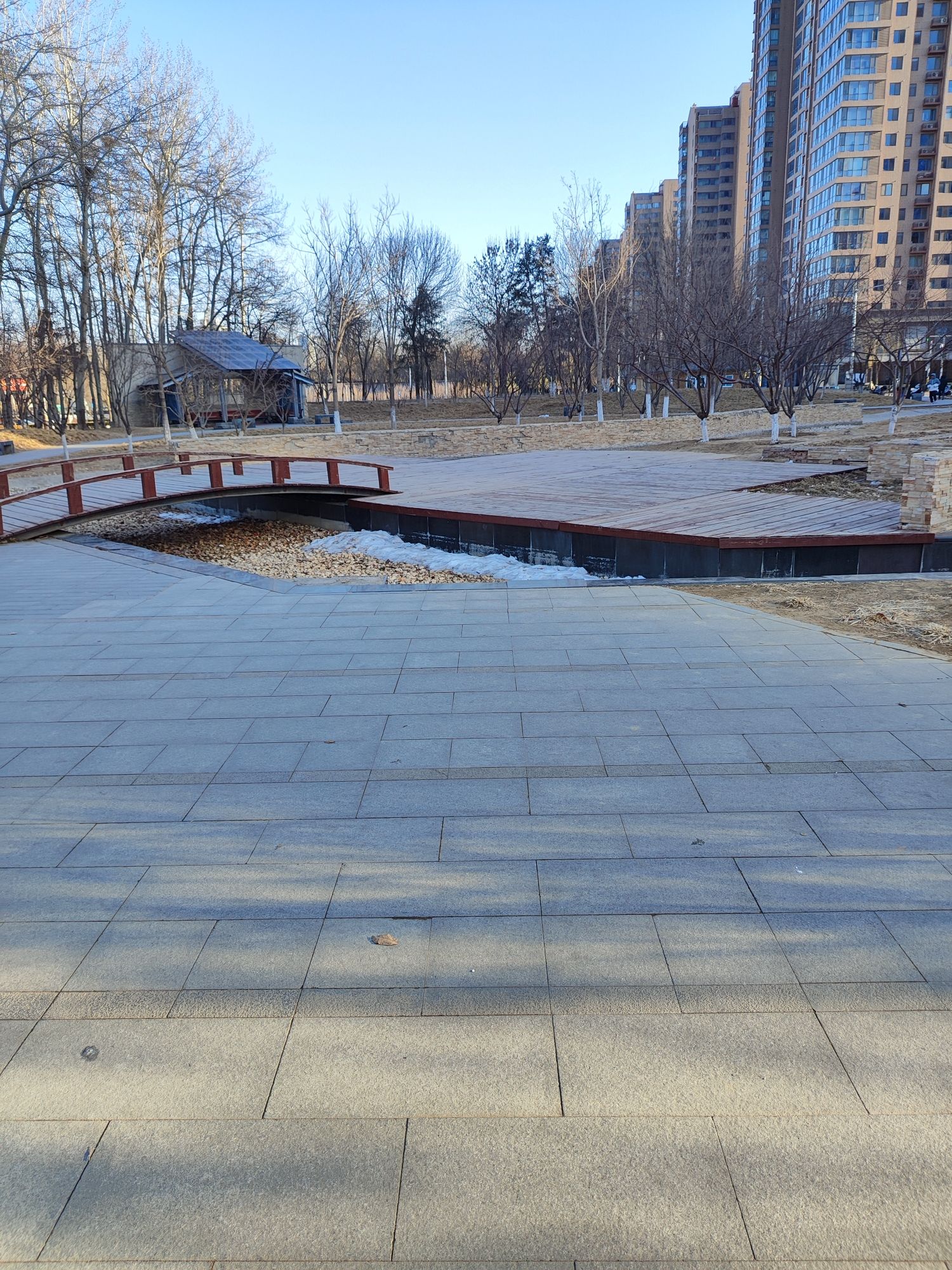 平衡车公园旅行图片 3