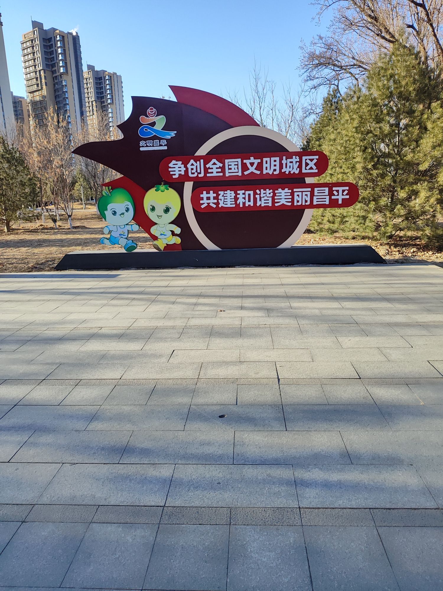 平衡车公园旅行图片 1