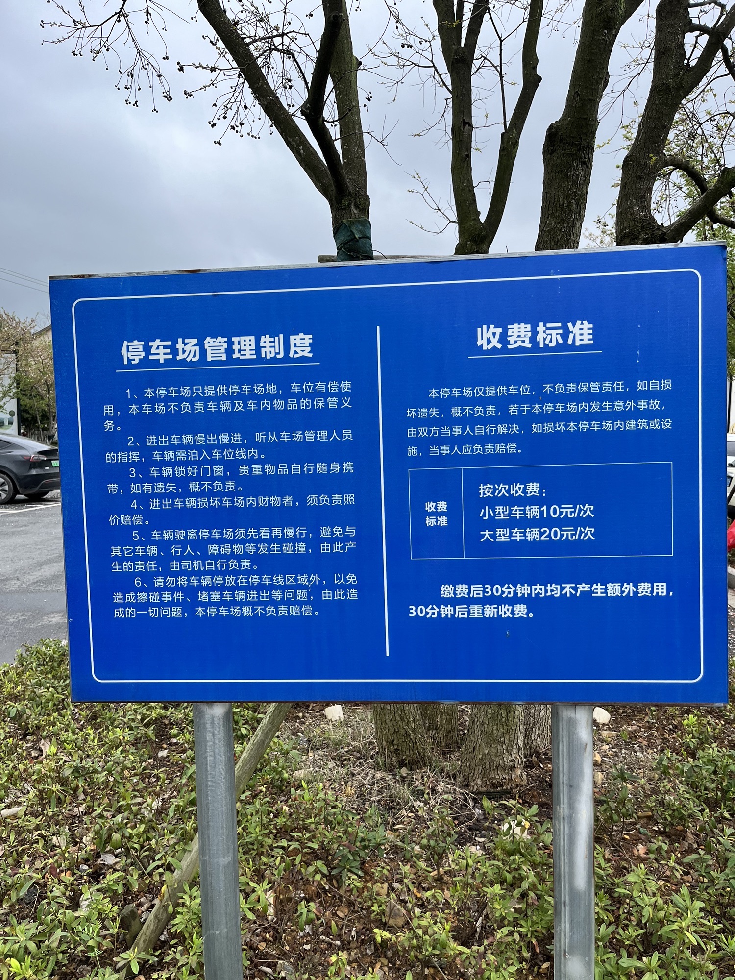 白茶原·安吉白茶观景平台旅行图片 2