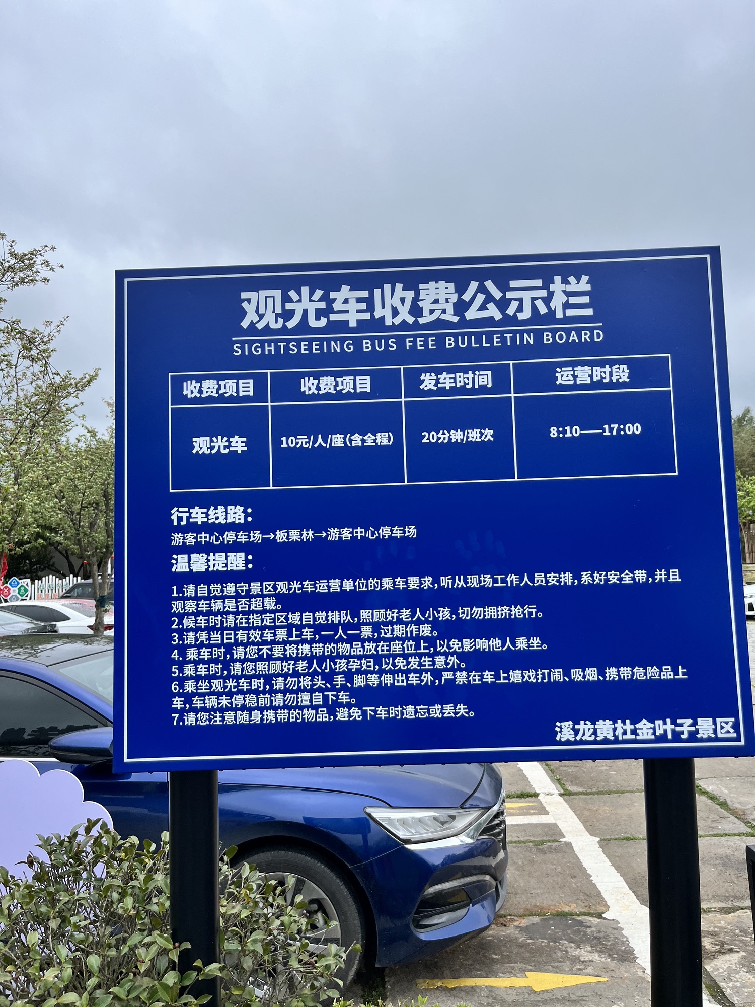 白茶原·安吉白茶观景平台旅行图片 3