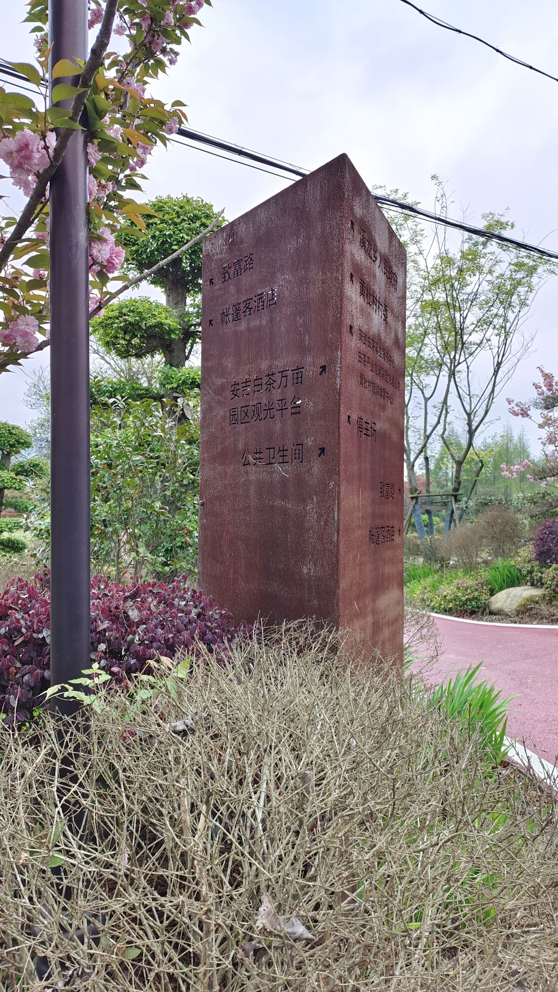 白茶原·安吉白茶观景平台旅行图片 2
