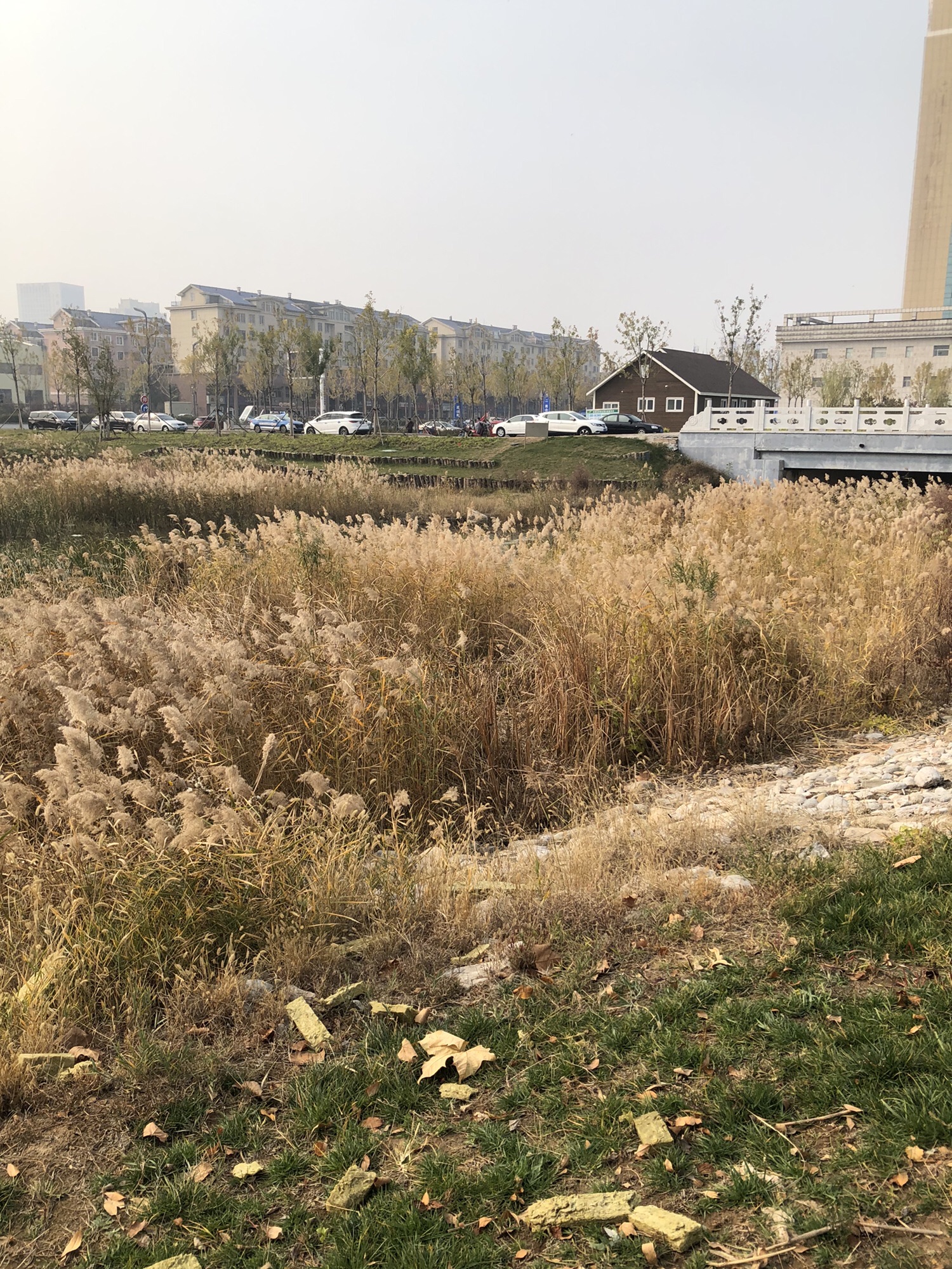 供水公园旅行图片 3