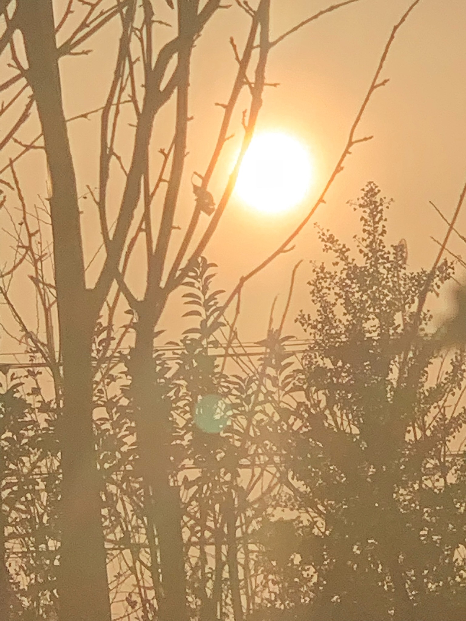 桃花源景区旅行图片 2