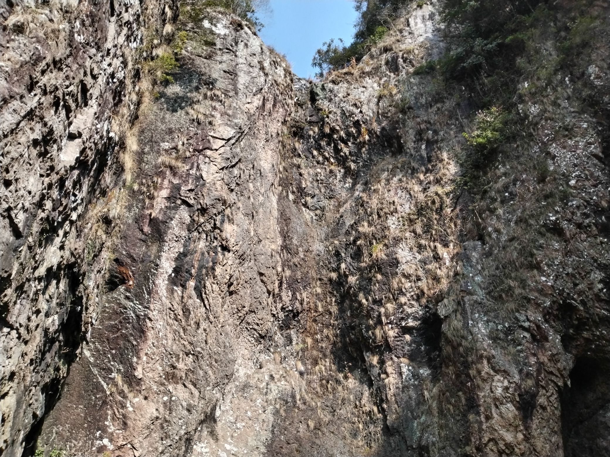 灵运仙境旅行图片 3