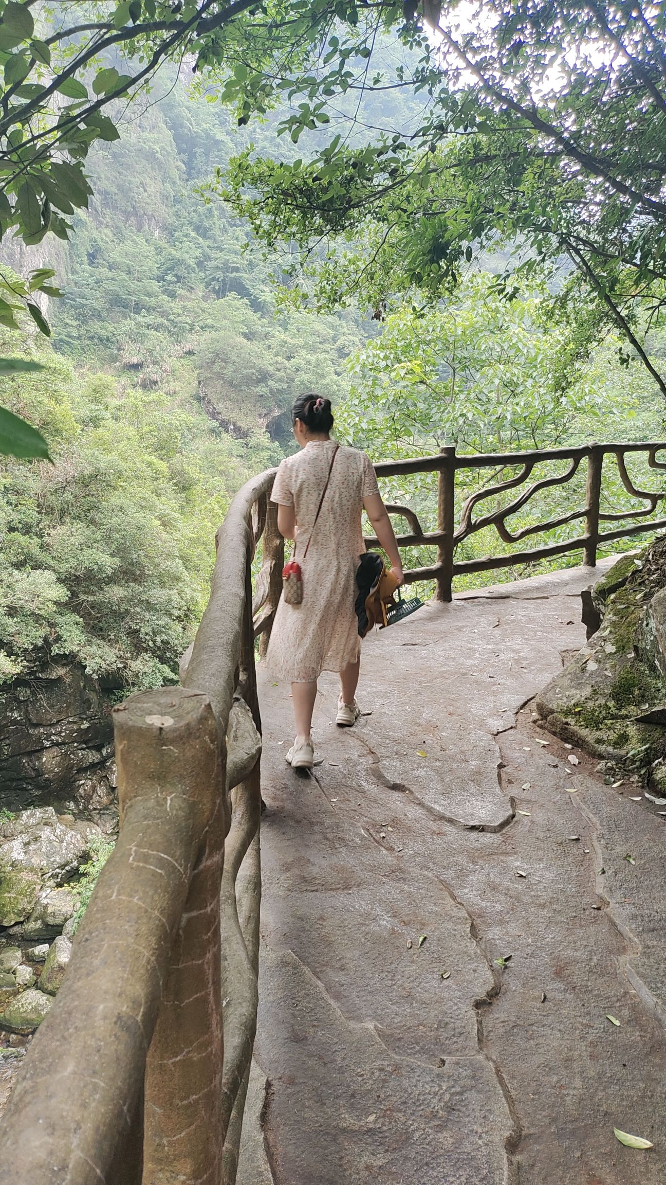灵运仙境旅行图片 3