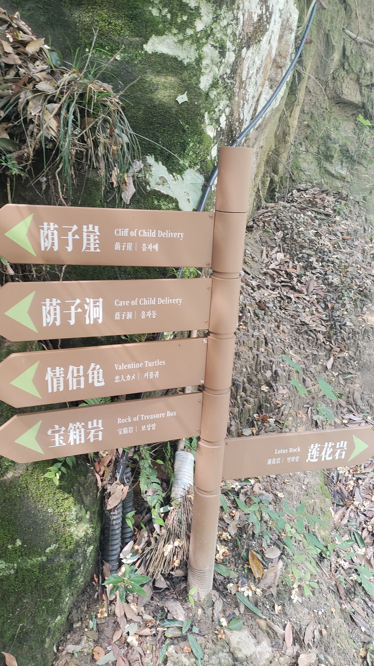 灵运仙境旅行图片 2