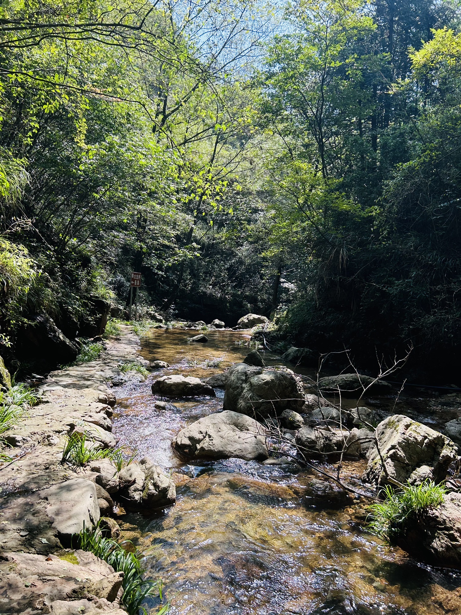 龙井悬瀑旅行图片 1