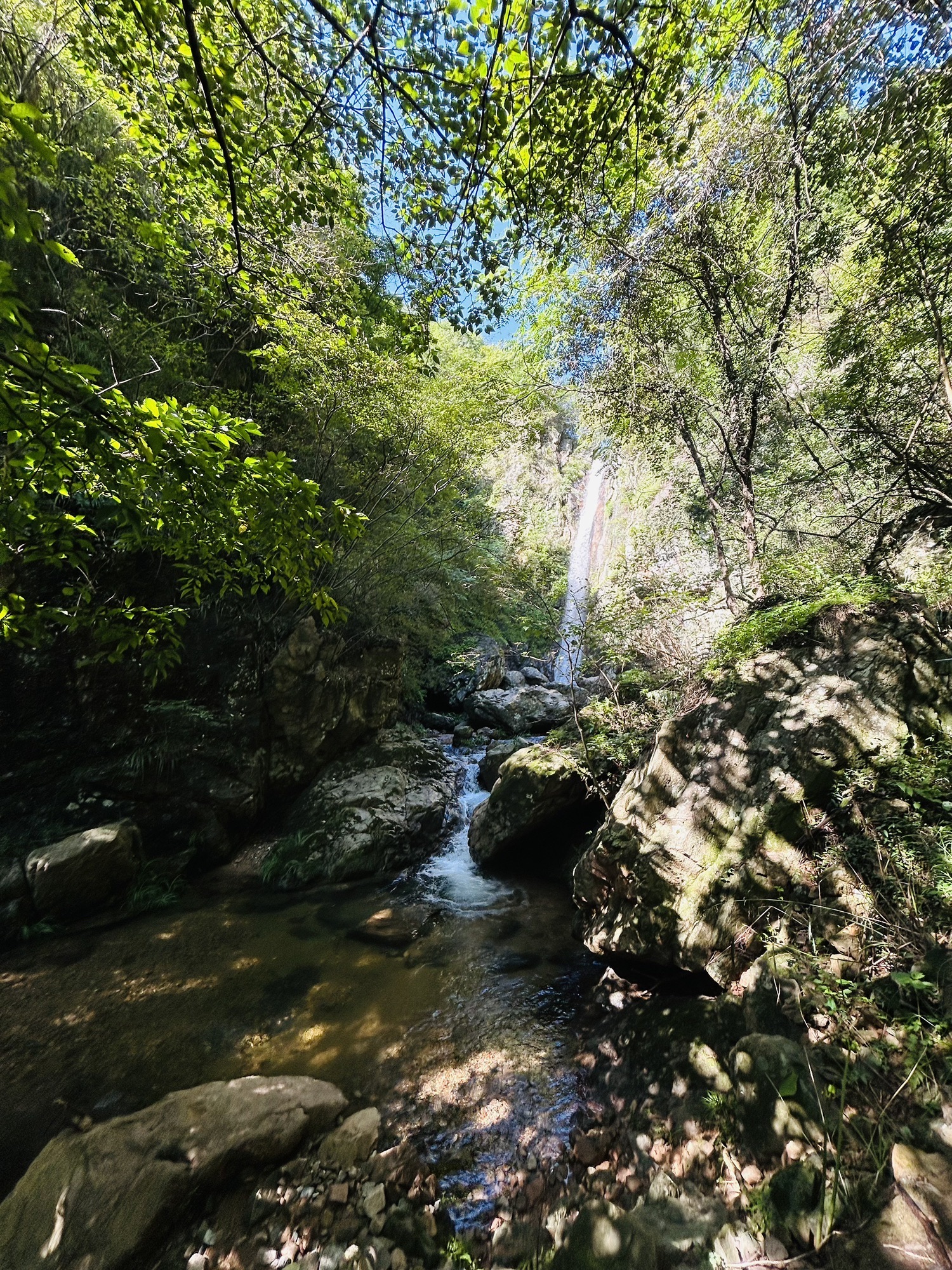 龙井悬瀑旅行图片 3