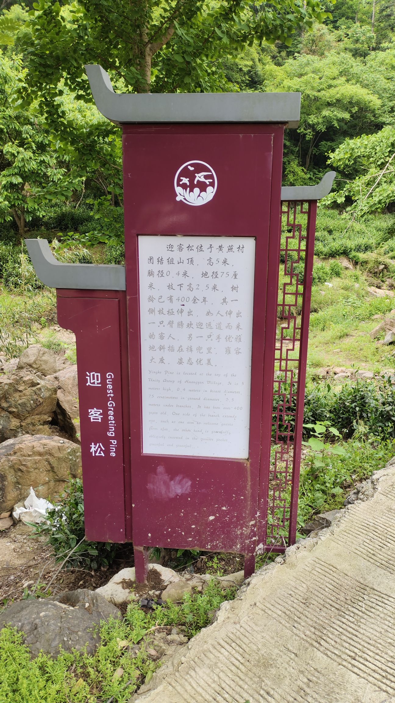 龙井悬瀑旅行图片 1