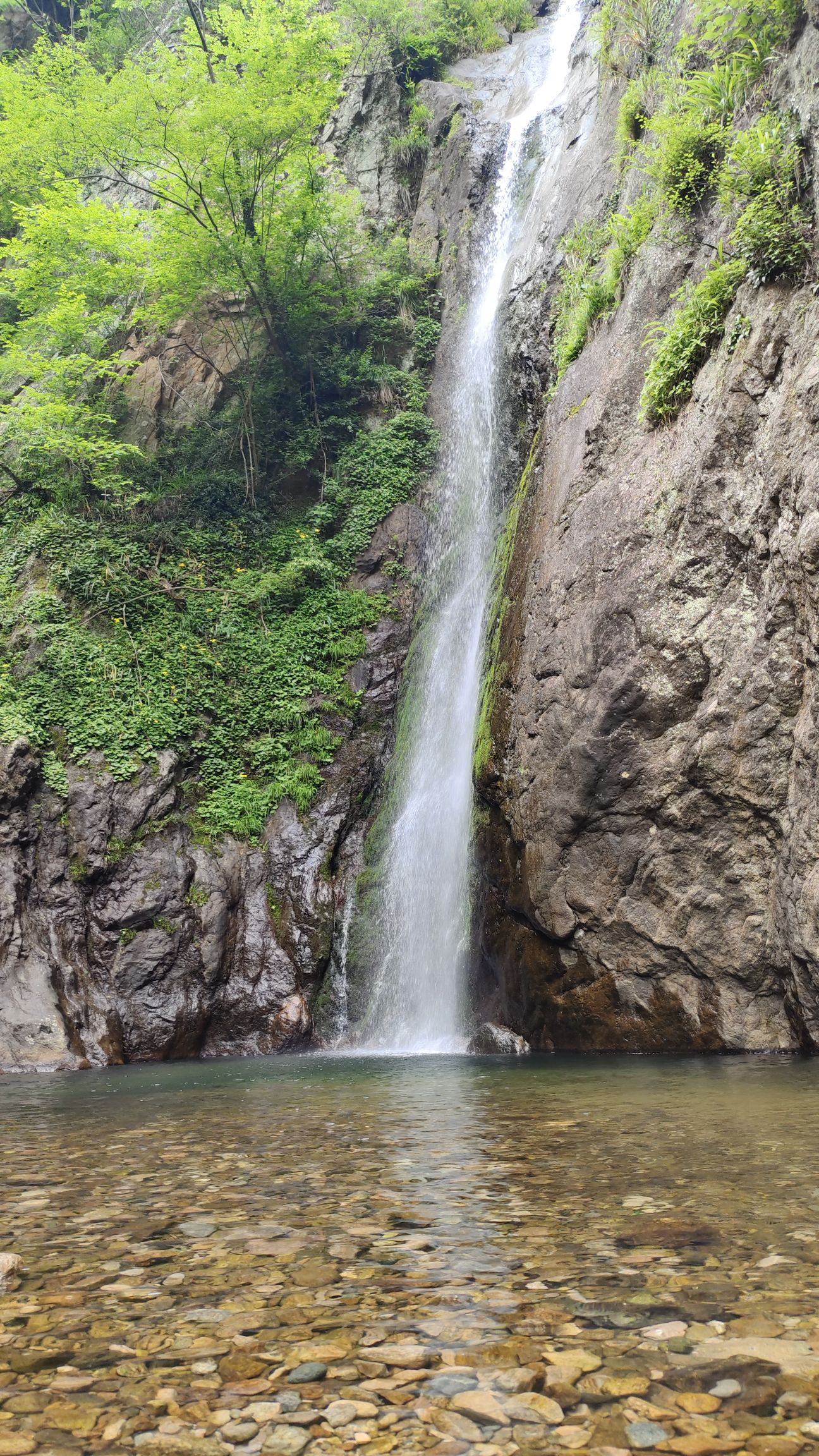 龙井悬瀑旅行图片 3
