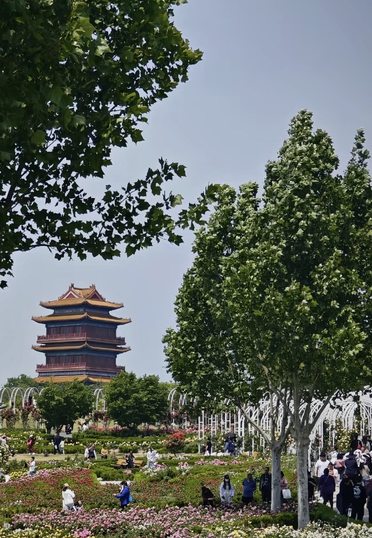 济宁凤凰台植物公园-绣球花园