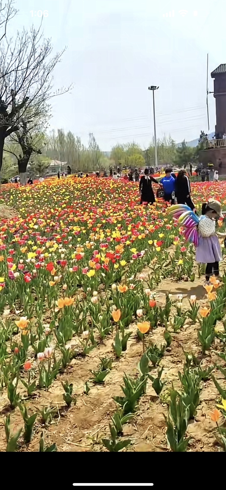 莲花山生态园旅行图片 2