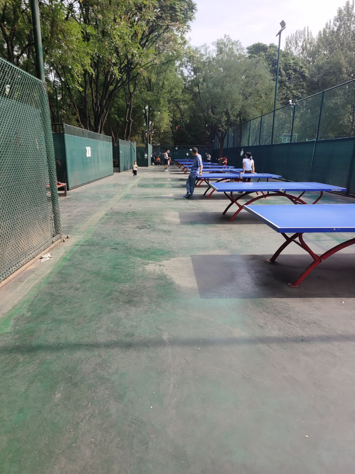 场地封面-万花亭公园南侧乒乓球场