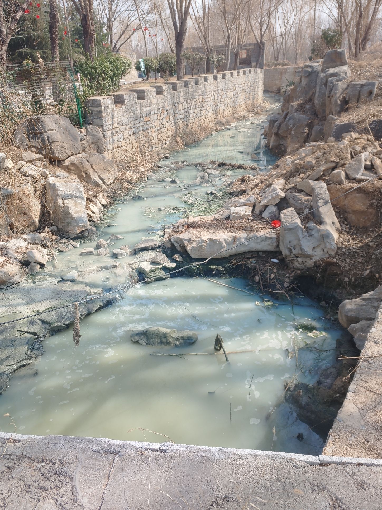 月亮湾湿地公园旅行图片 1