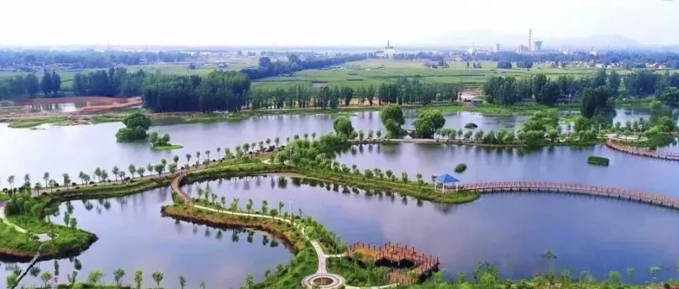 月亮湾湿地公园旅行图片 3