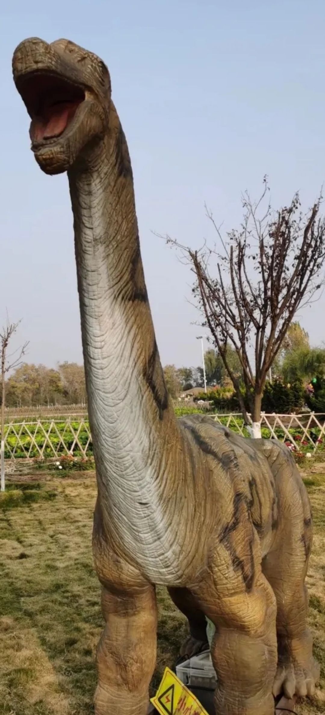 月亮湾湿地公园旅行图片 3