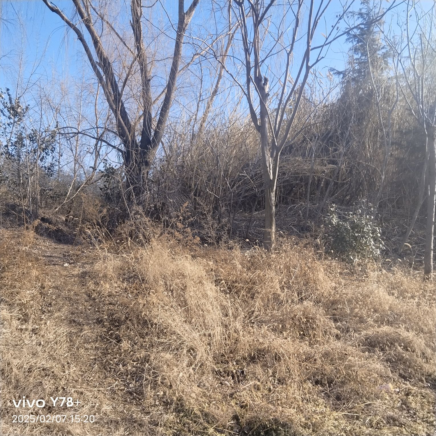 月亮湾湿地公园旅行图片 1