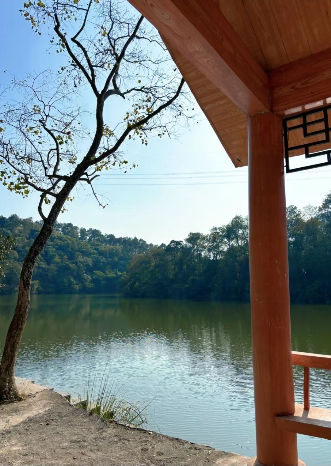 芦仙湖景区旅行图片 3