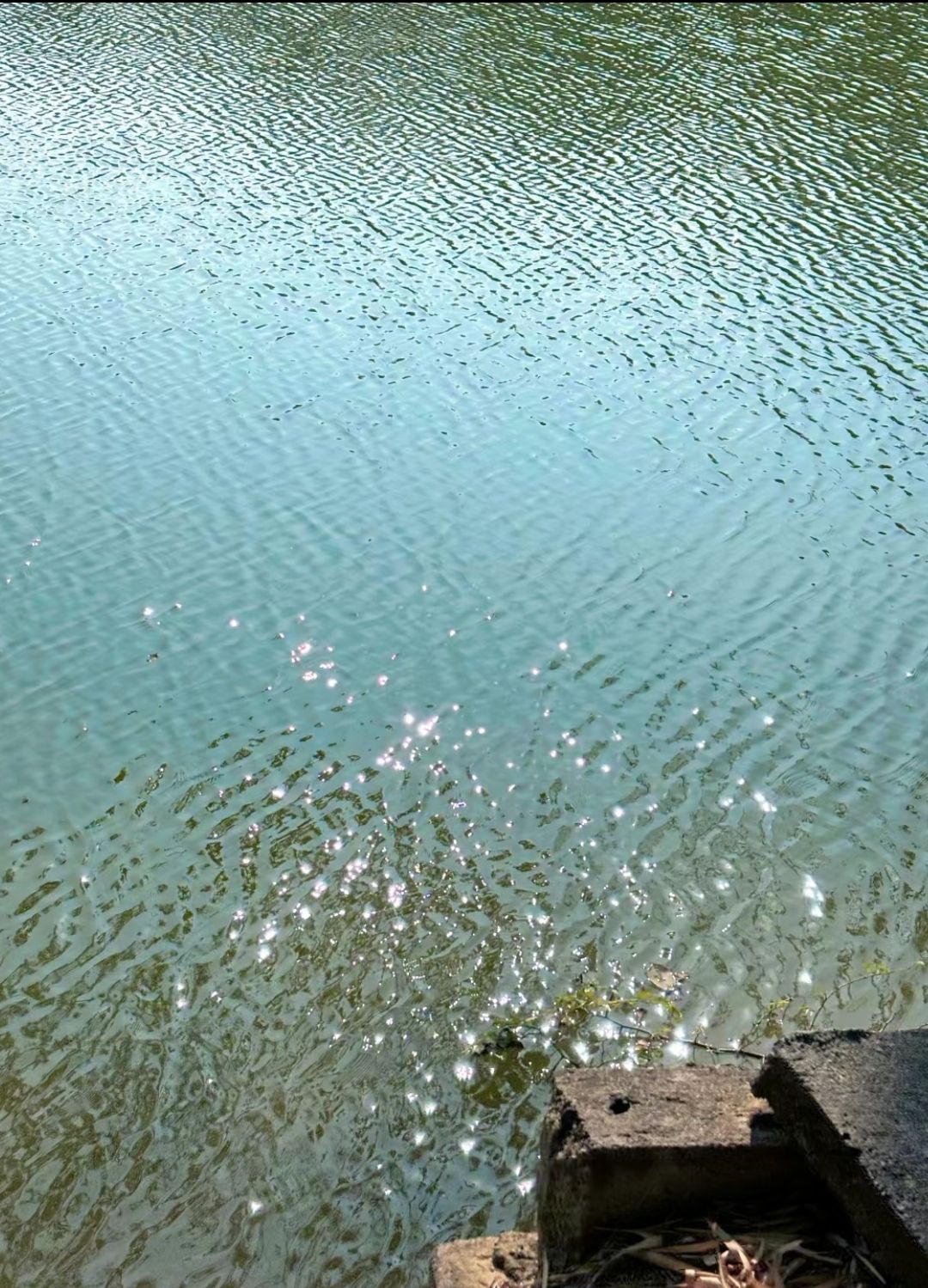 芦仙湖景区旅行图片 2