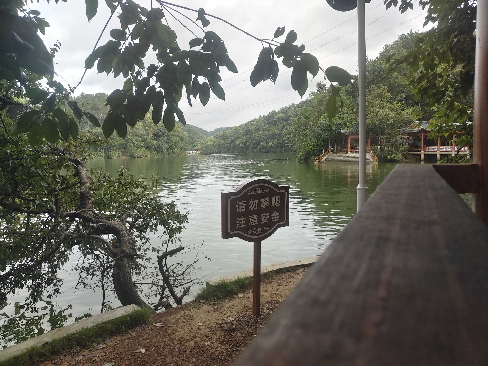 芦仙湖景区旅行图片 3