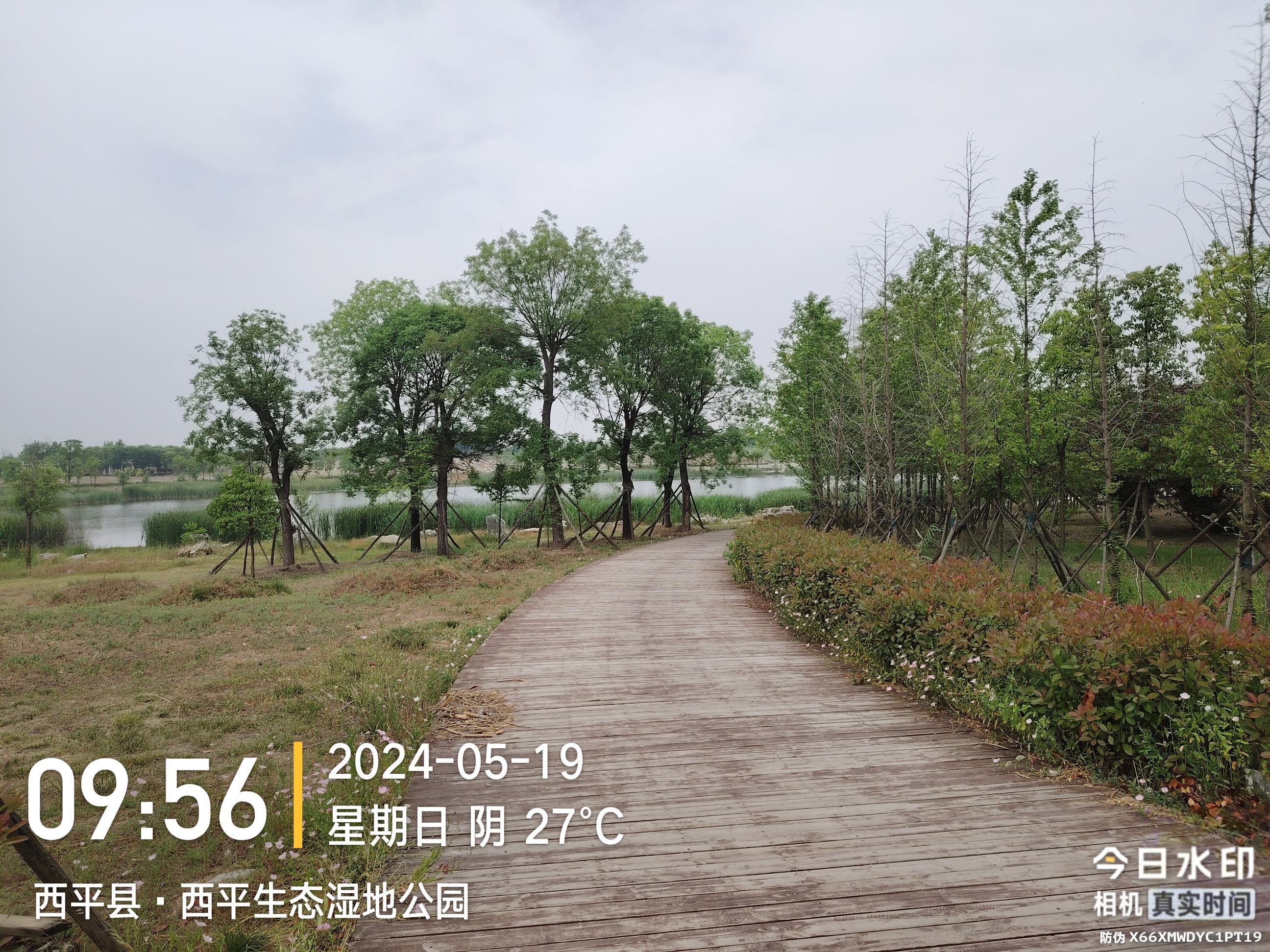 西平生态湿地公园旅行图片 2