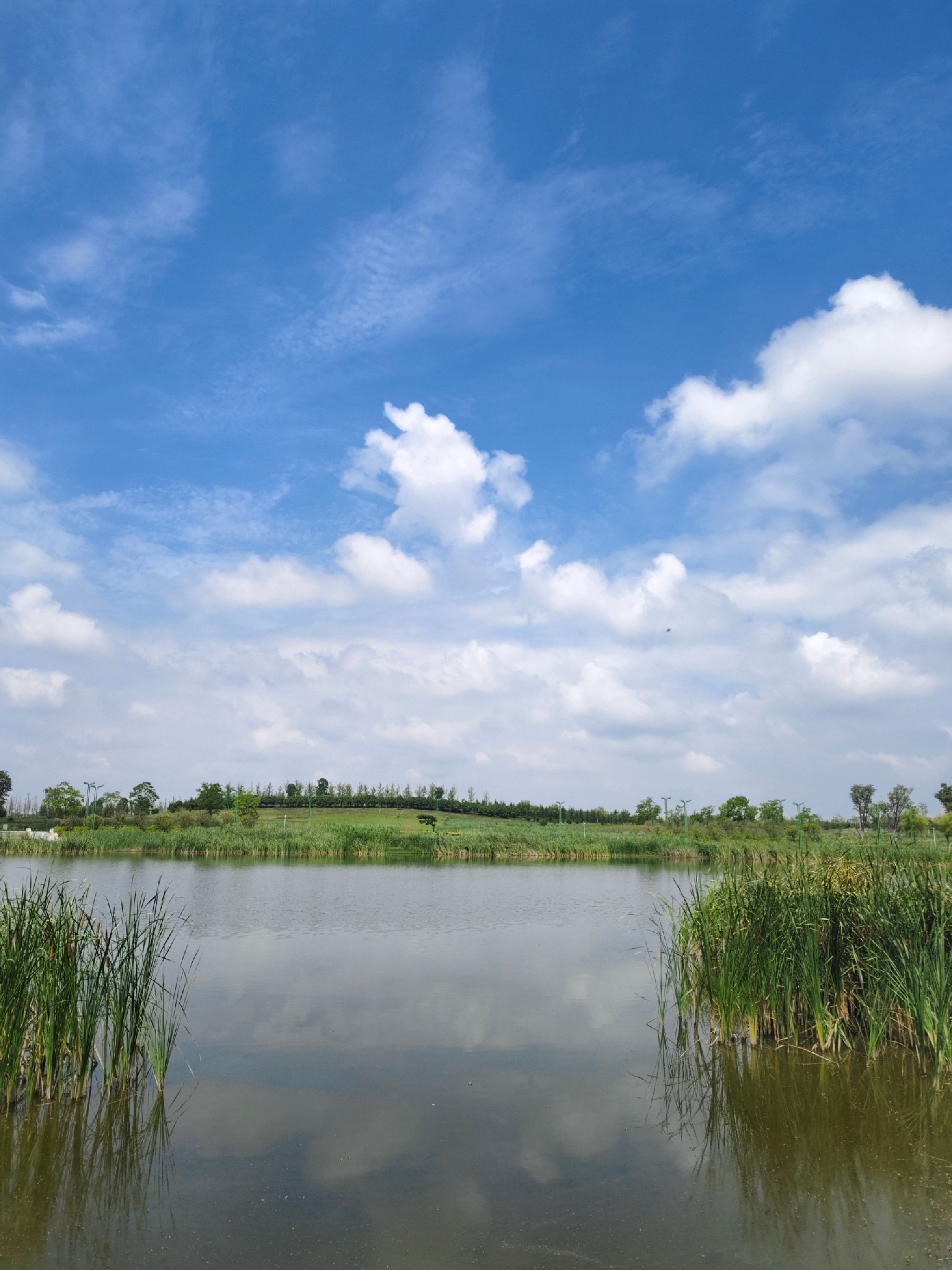 西平生态湿地公园旅行图片 3