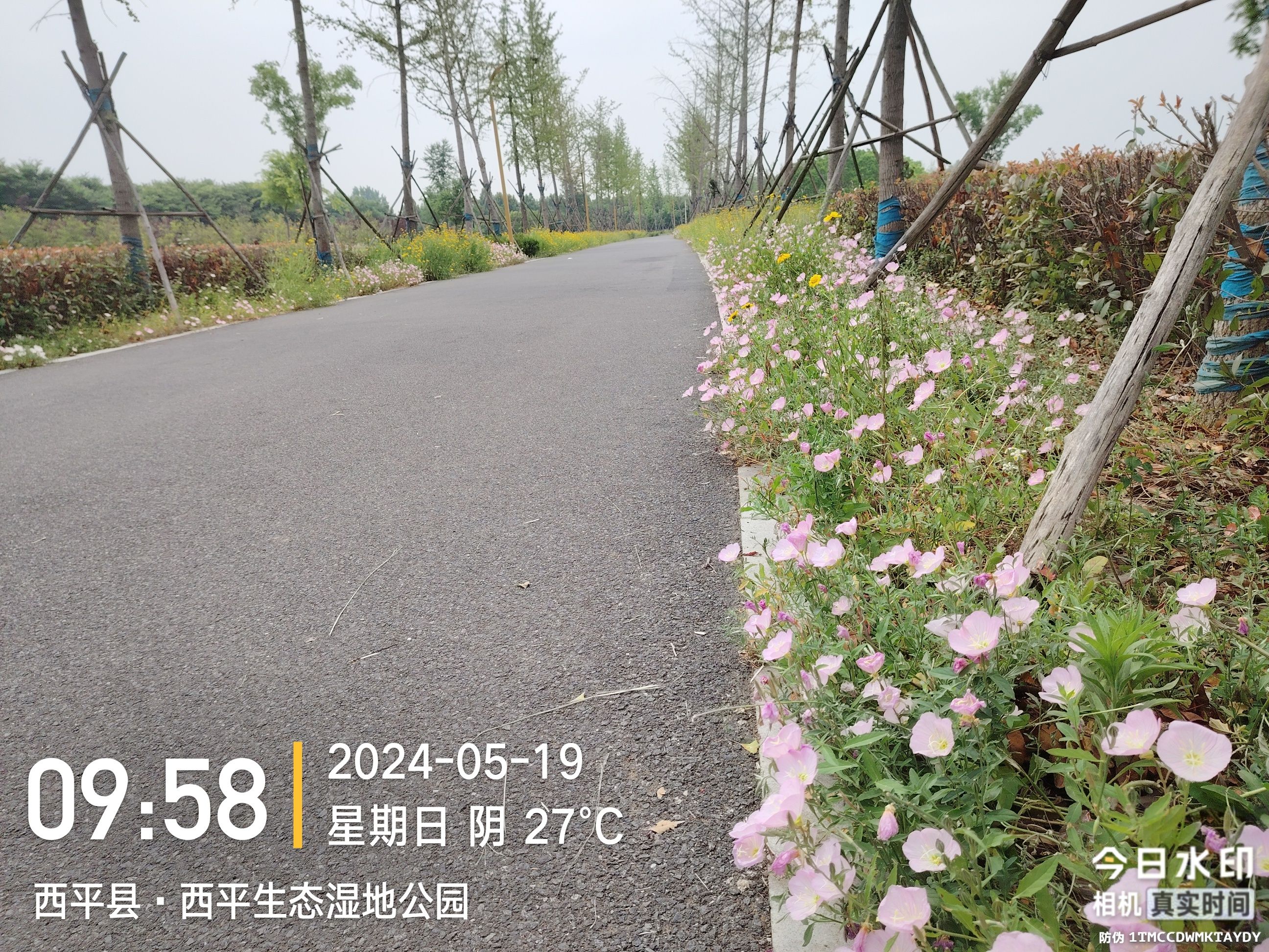 西平生态湿地公园旅行图片 3