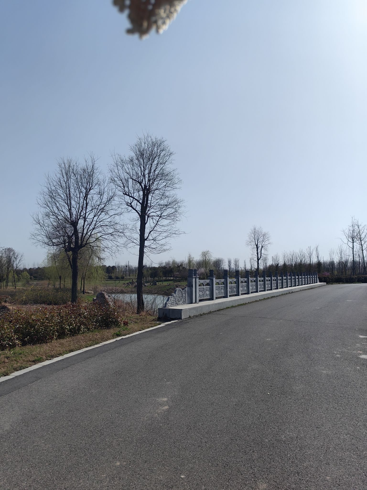 西平生态湿地公园旅行图片 3