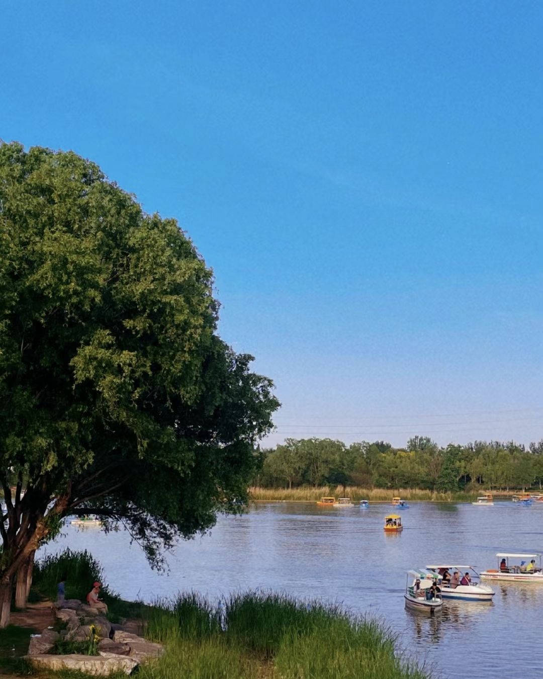 西平生态湿地公园旅行图片 1