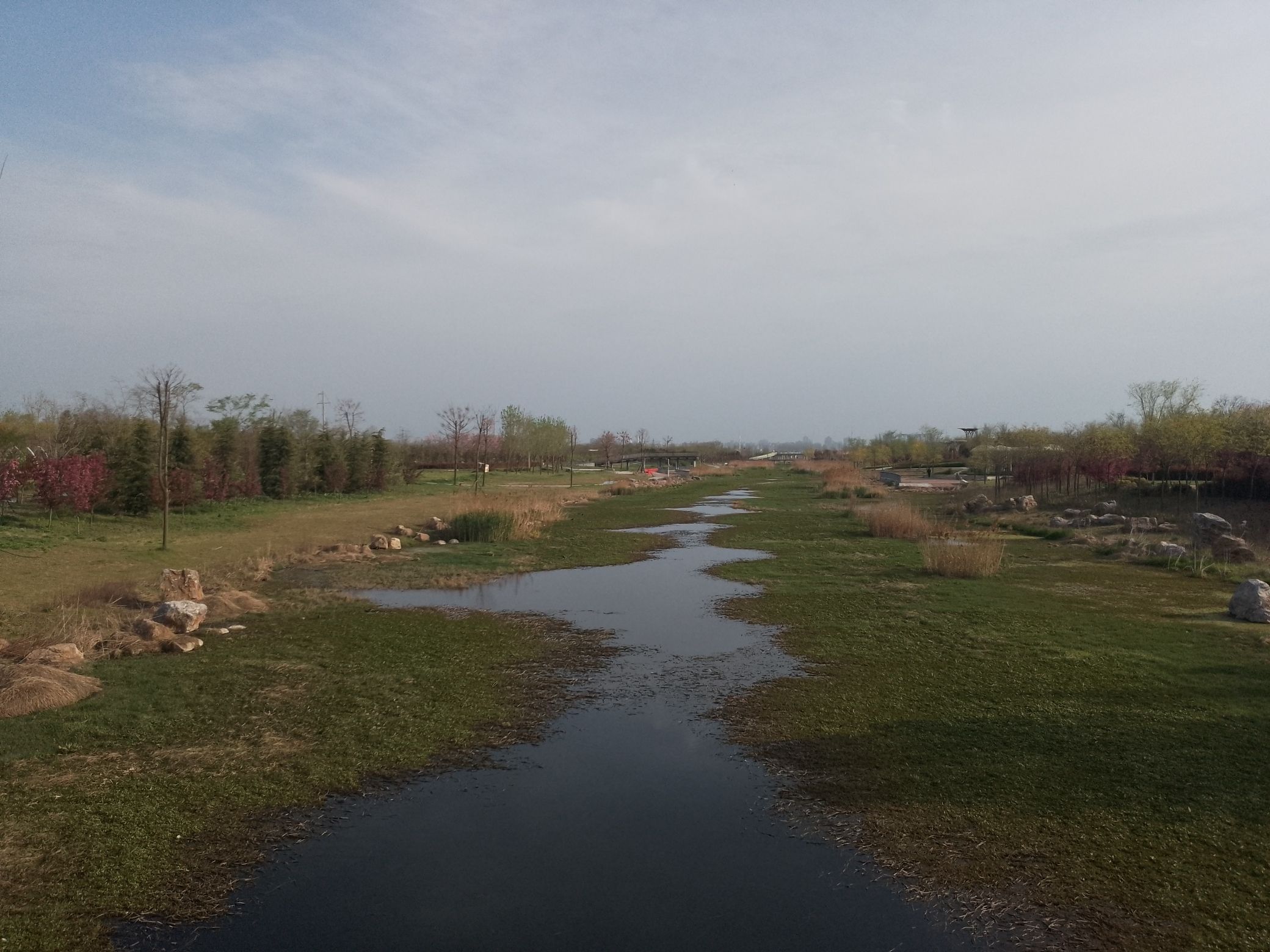 西平生态湿地公园旅行图片 2