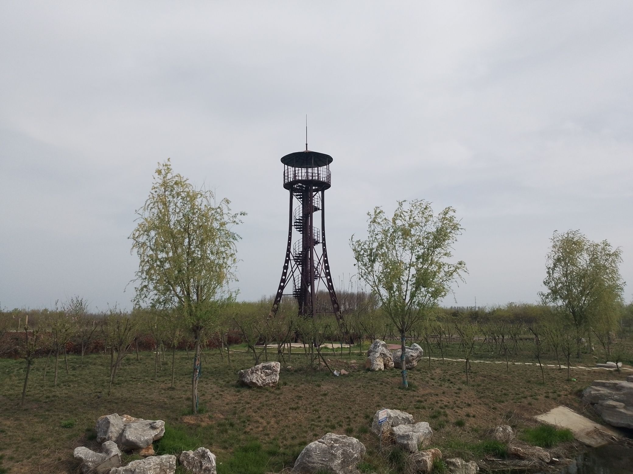 西平生态湿地公园旅行图片 3