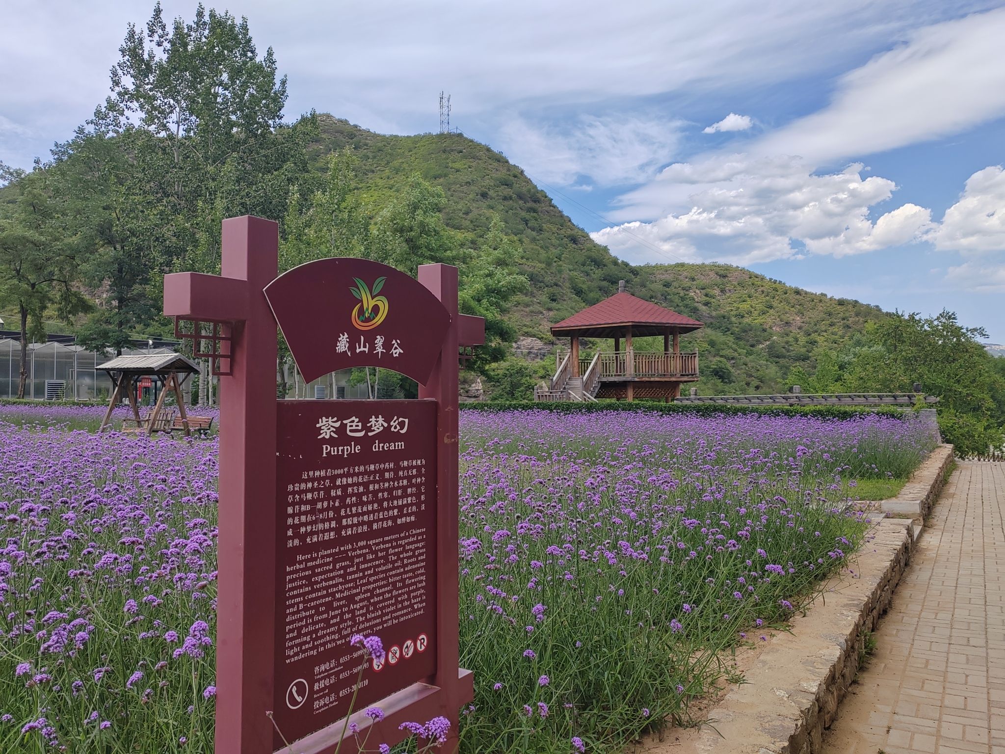 藏山翠谷景区