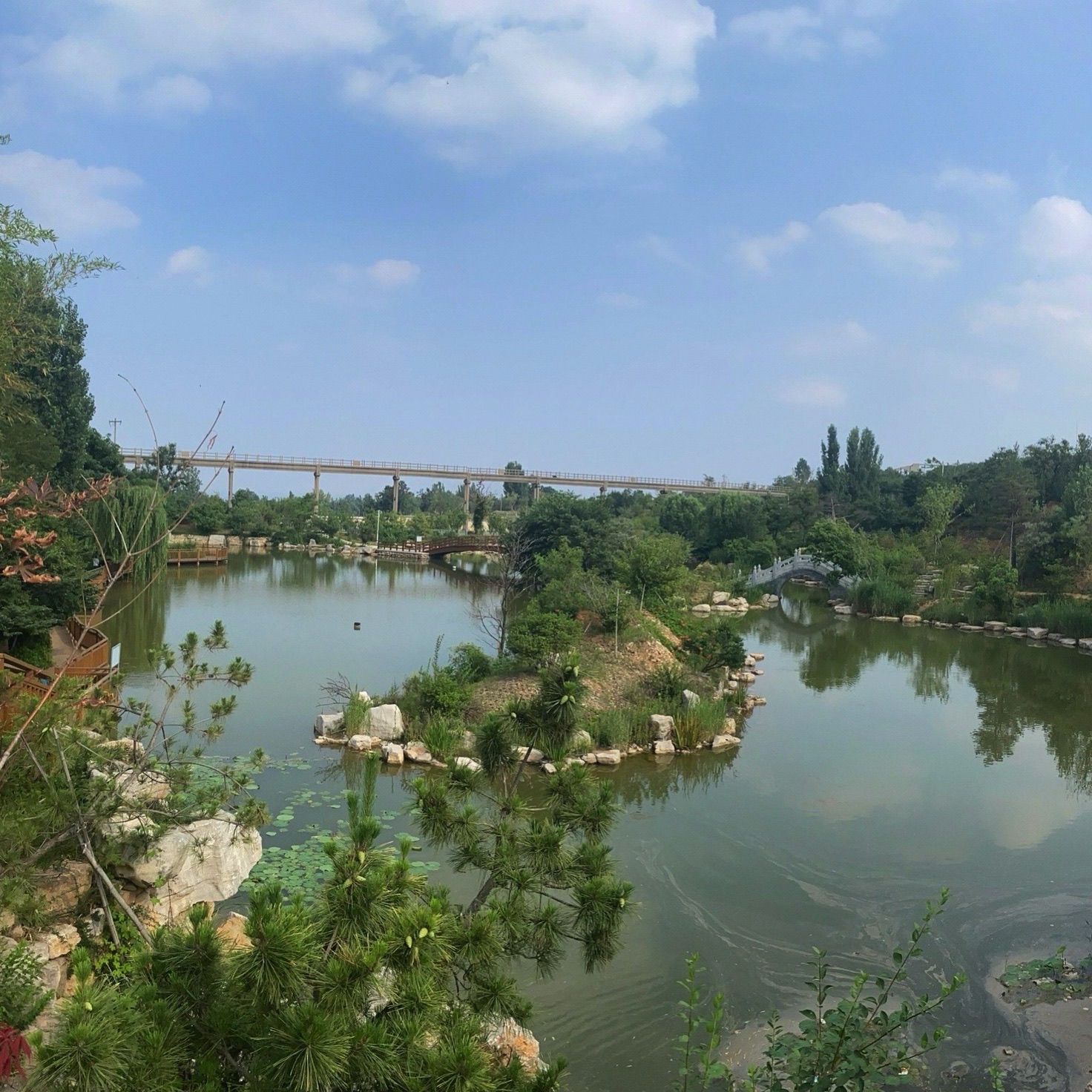 樱花谷旅行图片 3