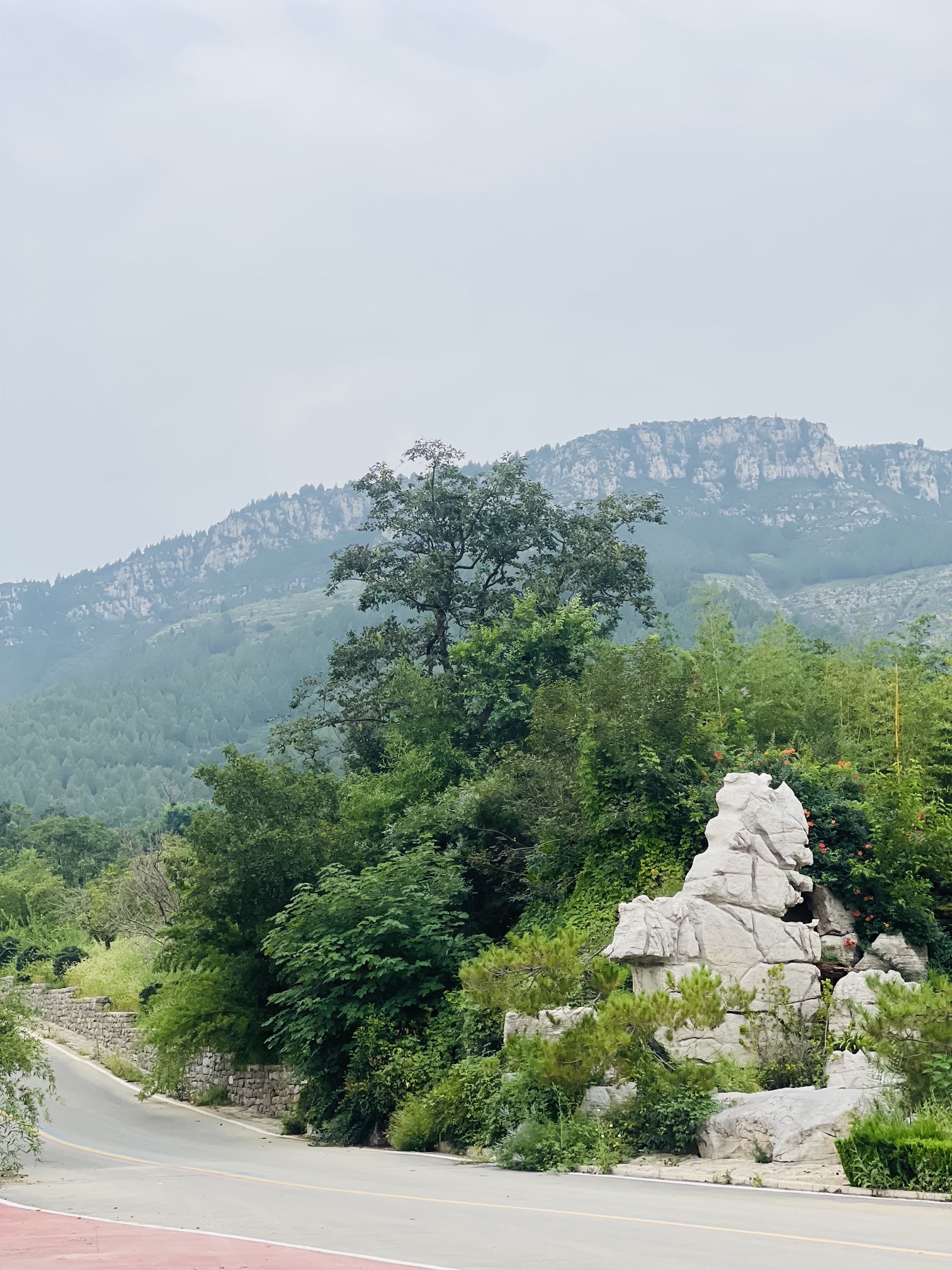 樱花谷旅行图片 3